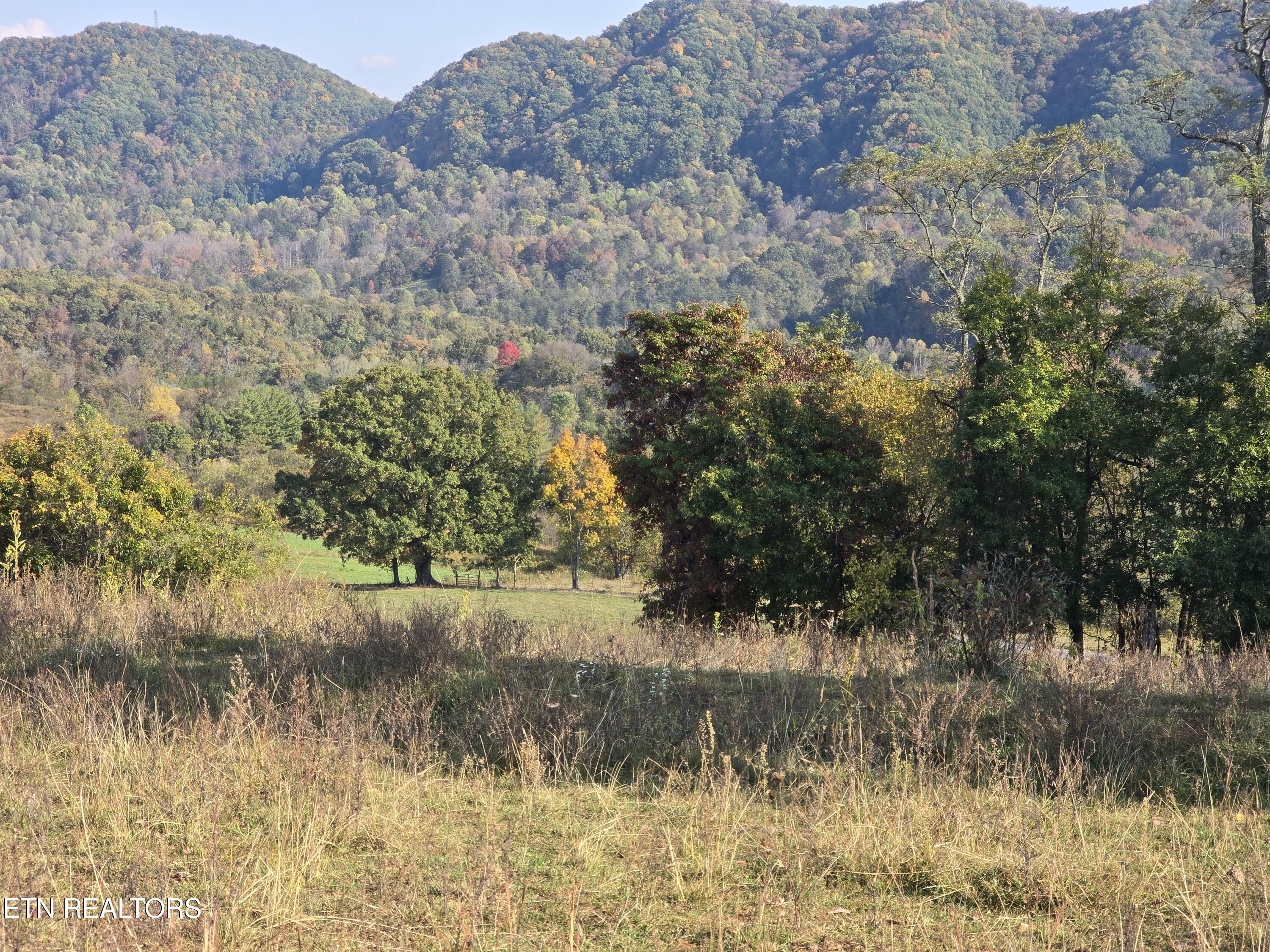 Tbd Copper Ridge Road Eidson, TN 37731 - Photo 34 of 49 20251018_160825