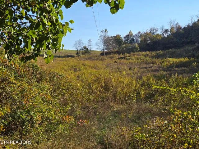 $297,900 | Tbd Copper Ridge Road, Eidson, TN 37731