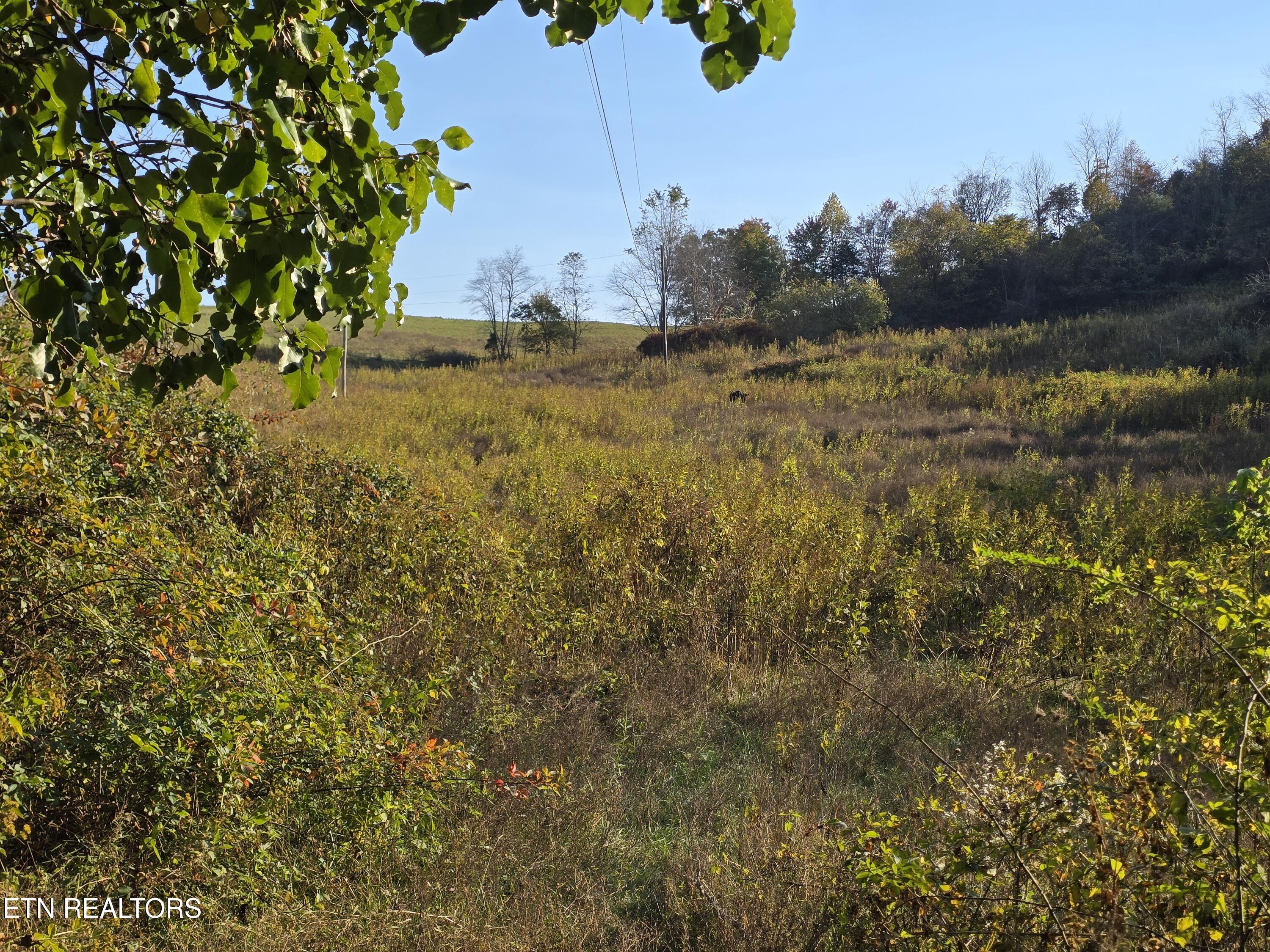 Tbd Copper Ridge Road Eidson, TN 37731 - Photo 35 of 49 20251018_165311