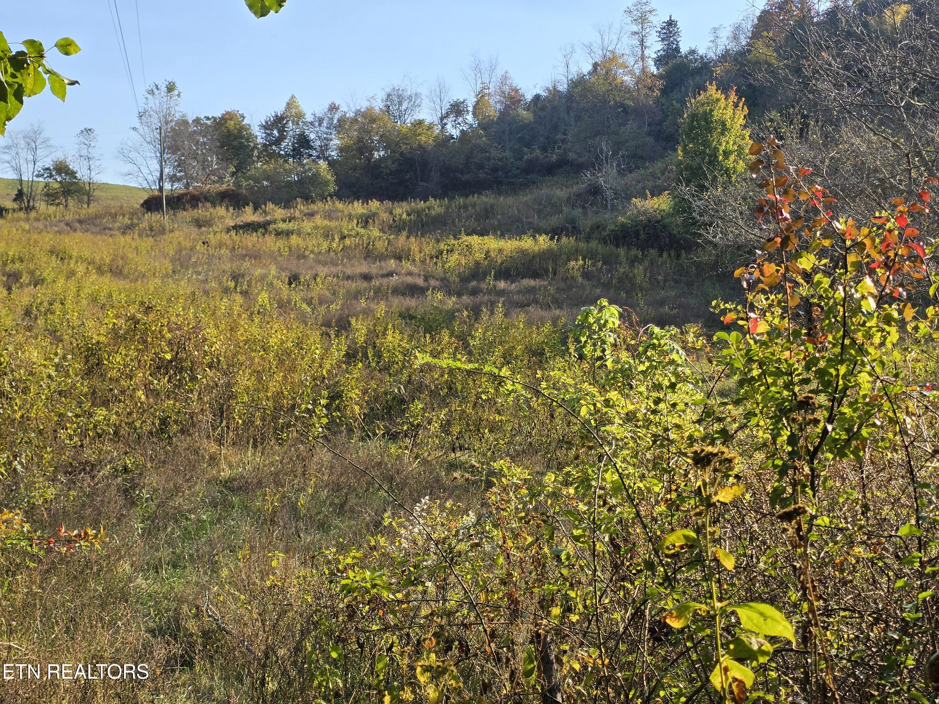 Tbd Copper Ridge Road Eidson, TN 37731 - Photo 36 of 49 20251018_165336