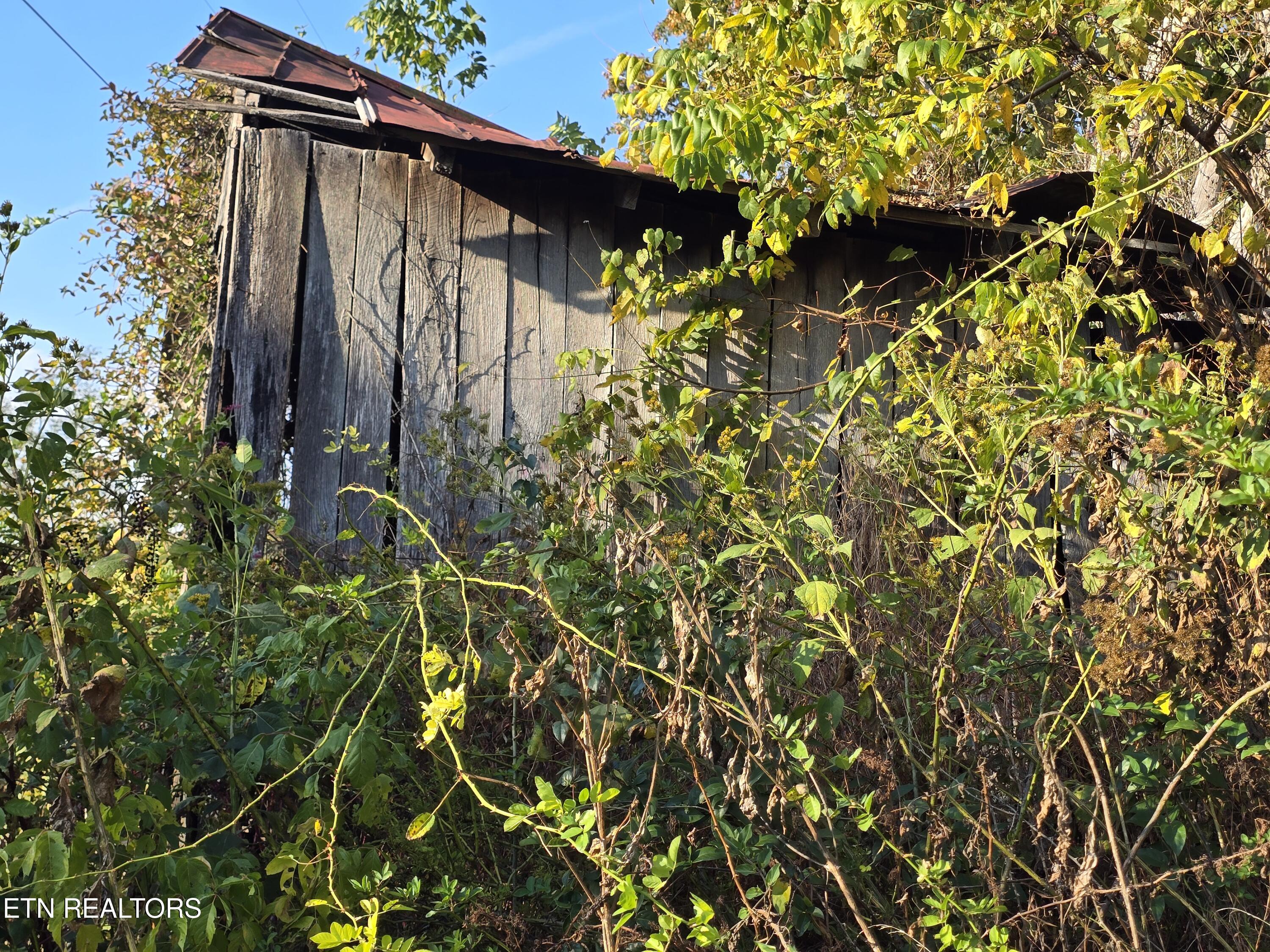 Tbd Copper Ridge Road Eidson, TN 37731 - Photo 37 of 49 20251018_165217