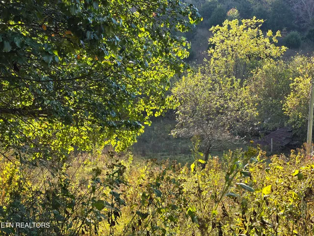 $297,900 | Tbd Copper Ridge Road, Eidson, TN 37731