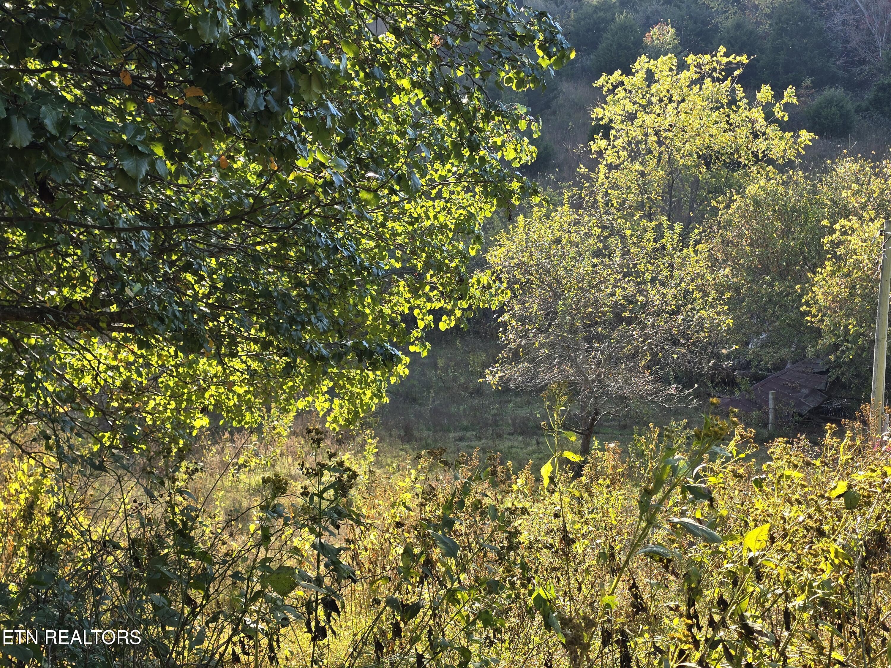 Tbd Copper Ridge Road Eidson, TN 37731 - Photo 39 of 49 20251018_165253