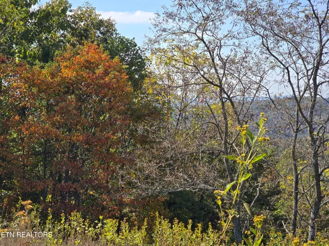 $297,900 | Tbd Copper Ridge Road, Eidson, TN 37731