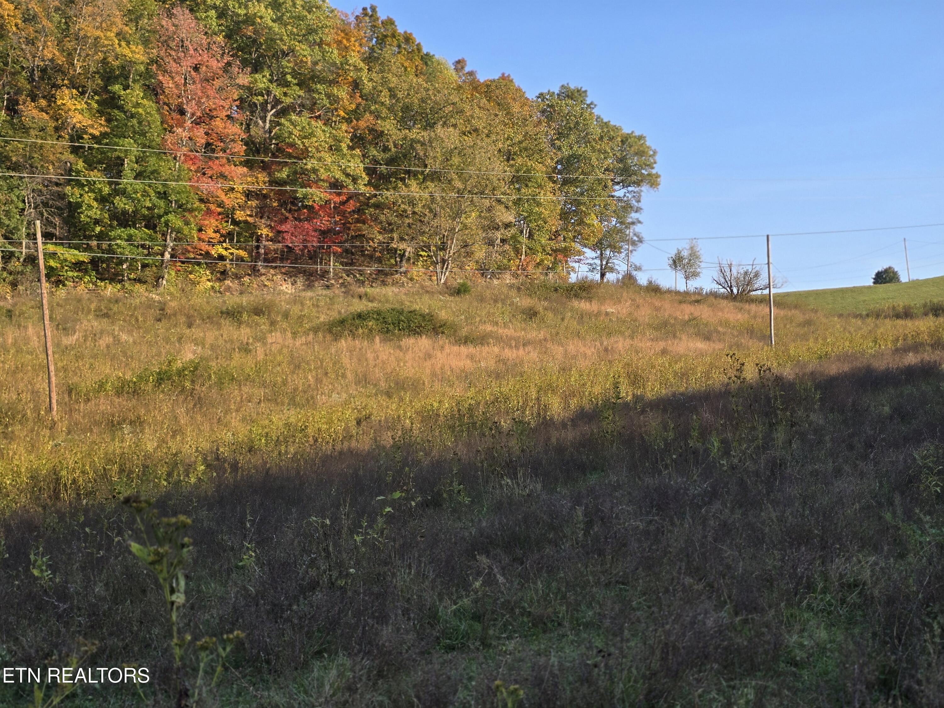 Tbd Copper Ridge Road Eidson, TN 37731 - Photo 43 of 49 20251018_165931