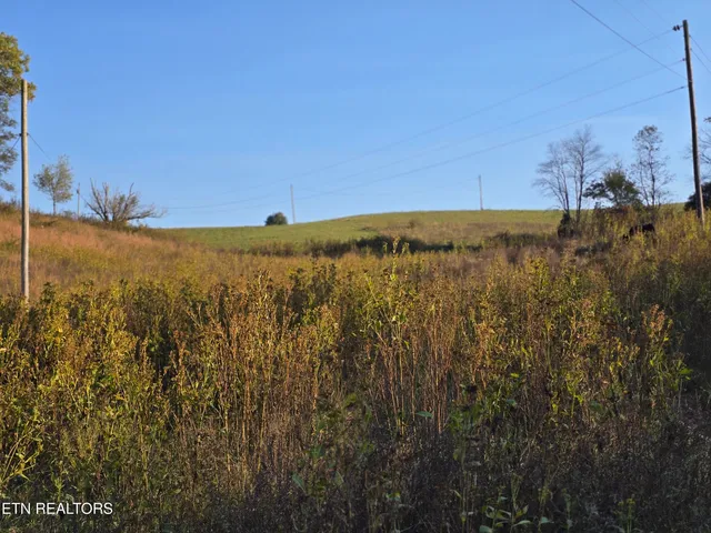 $297,900 | Tbd Copper Ridge Road, Eidson, TN 37731