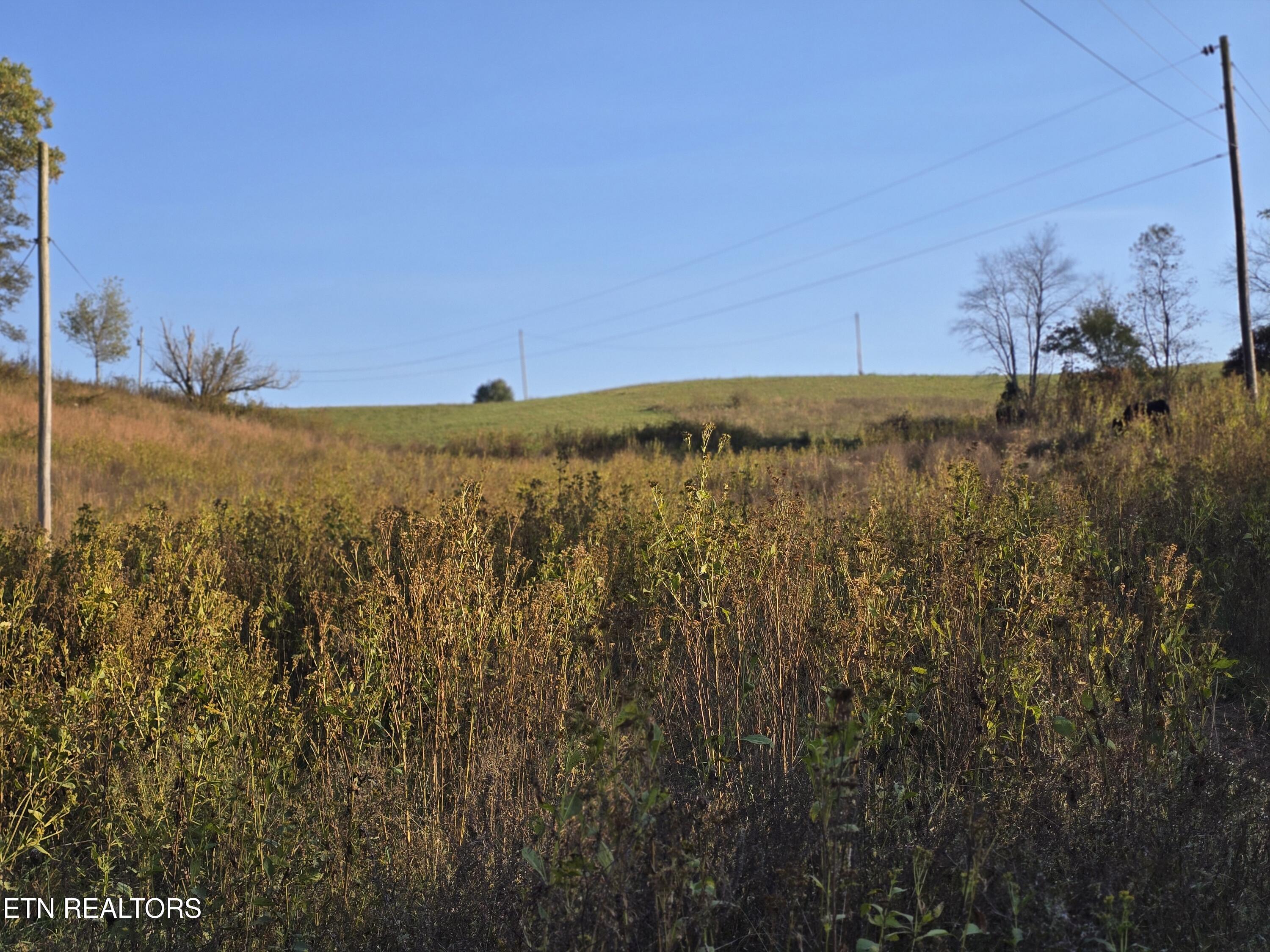 Tbd Copper Ridge Road Eidson, TN 37731 - Photo 44 of 49 20251018_170235
