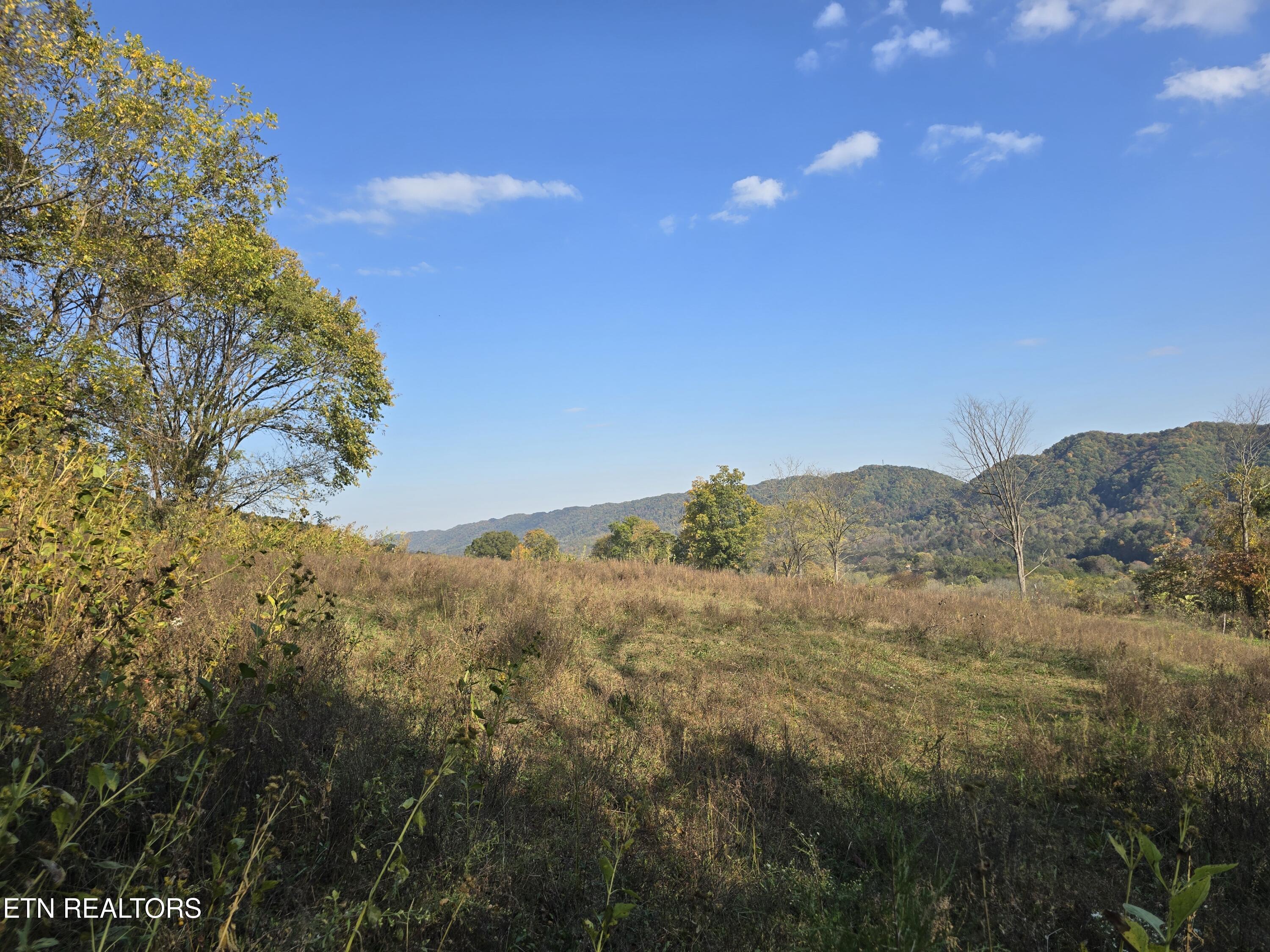 Tbd Copper Ridge Road Eidson, TN 37731 - Photo 45 of 49 20251018_161918