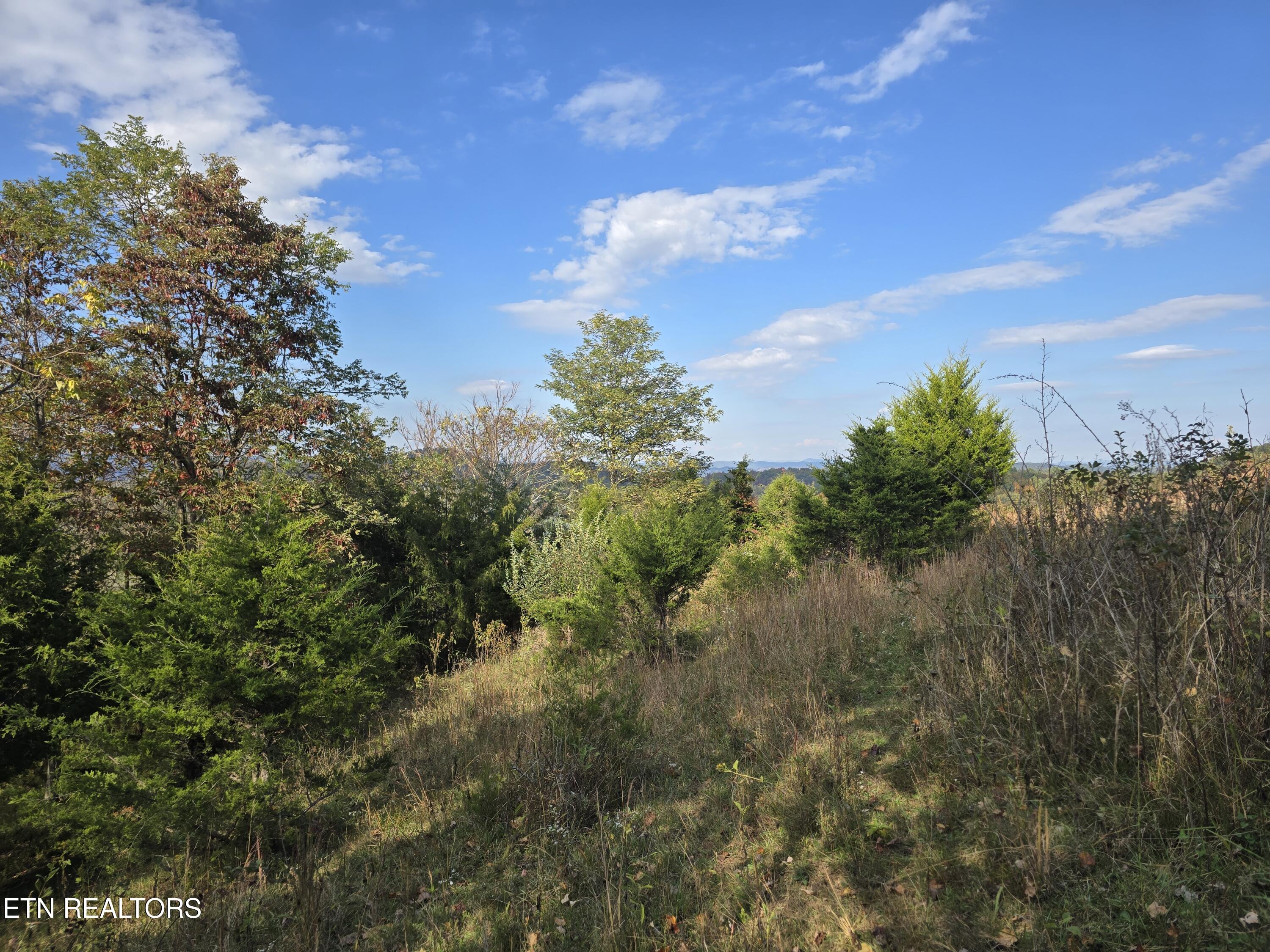 Tbd Copper Ridge Road Eidson, TN 37731 - Photo 46 of 49 20251018_152948