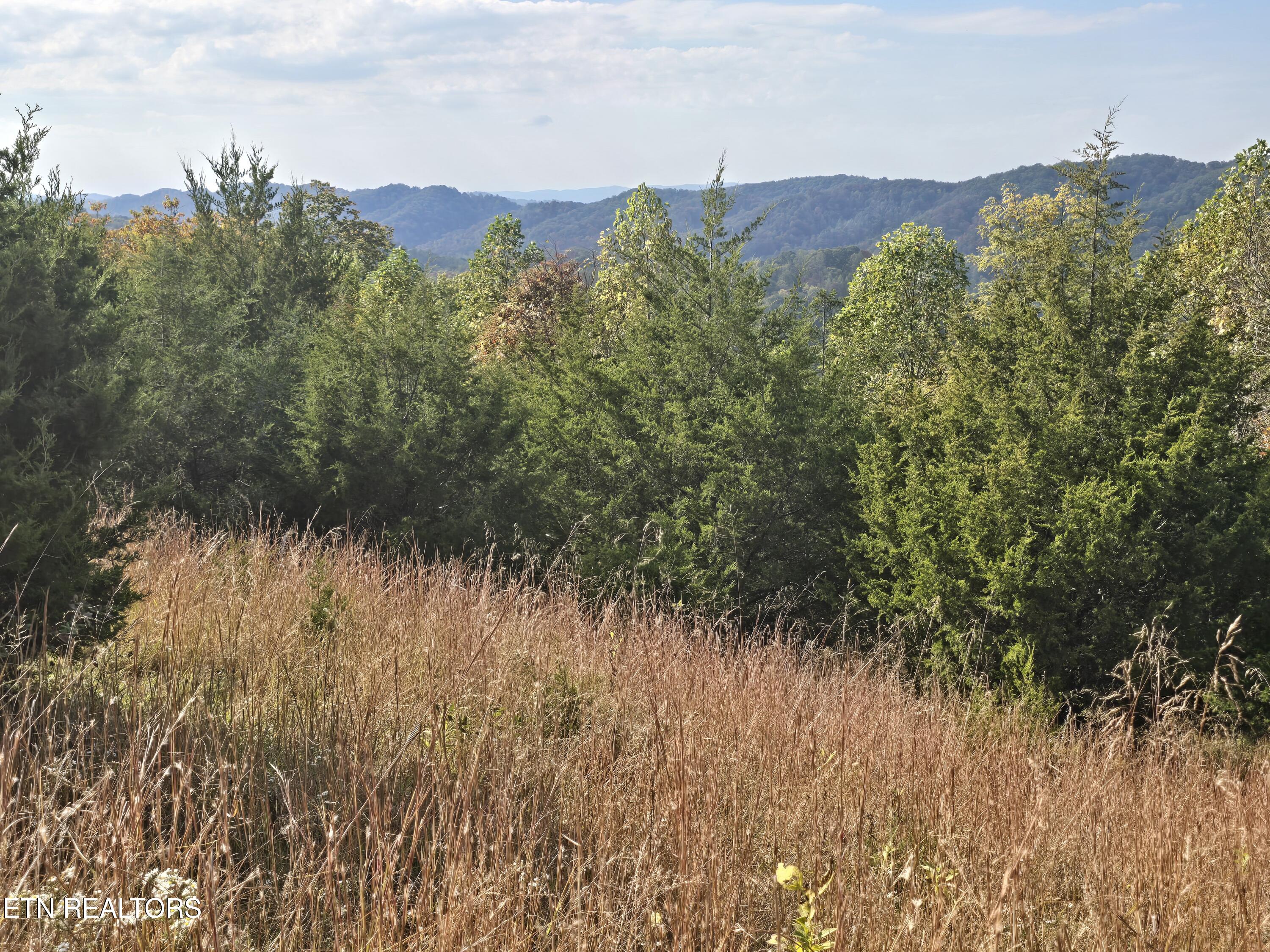 Tbd Copper Ridge Road Eidson, TN 37731 - Photo 47 of 49 20251018_153230