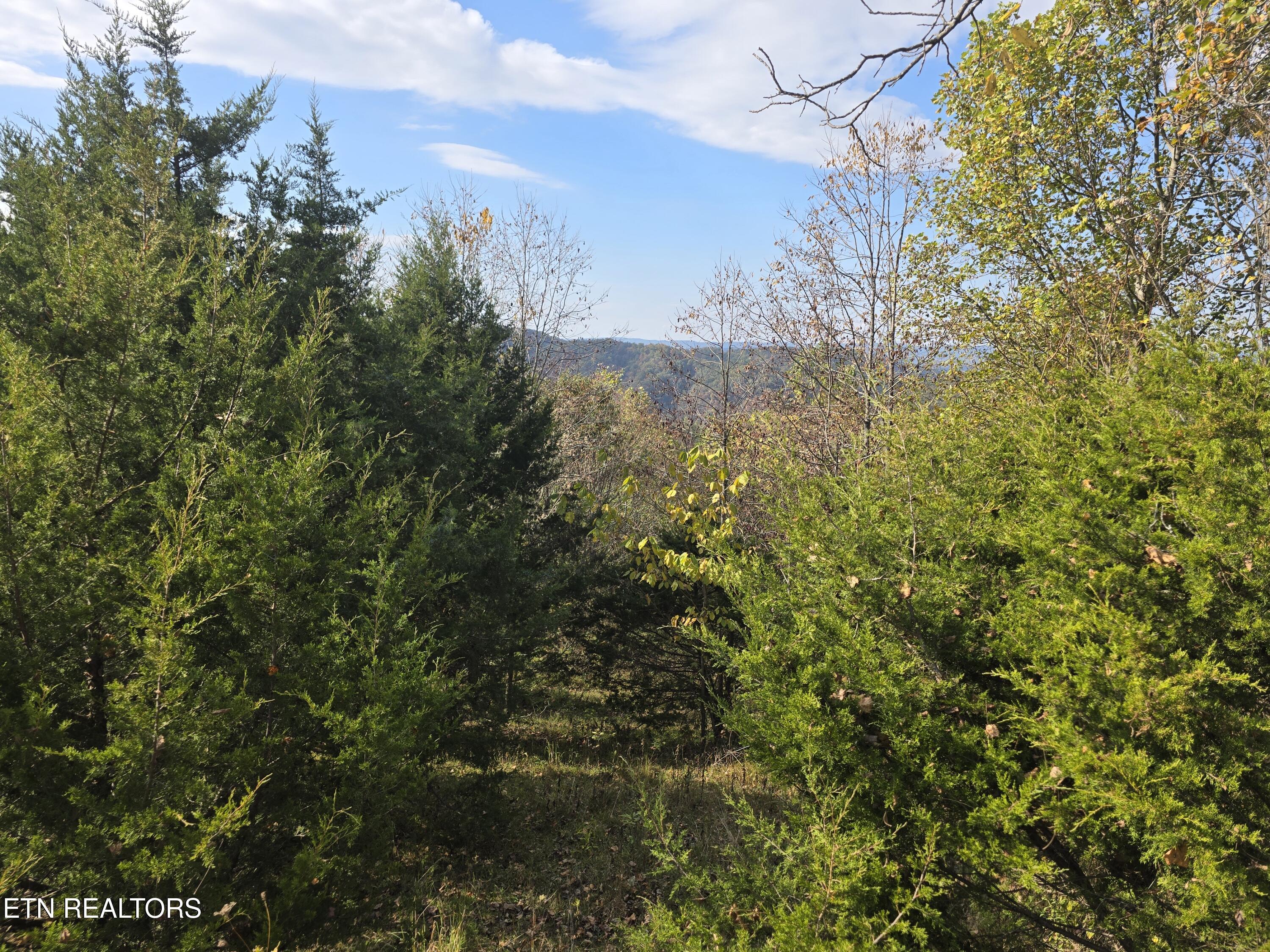 Tbd Copper Ridge Road Eidson, TN 37731 - Photo 48 of 49 20251018_153103