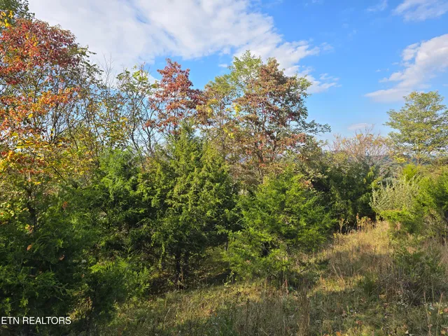 $297,900 | Tbd Copper Ridge Road, Eidson, TN 37731