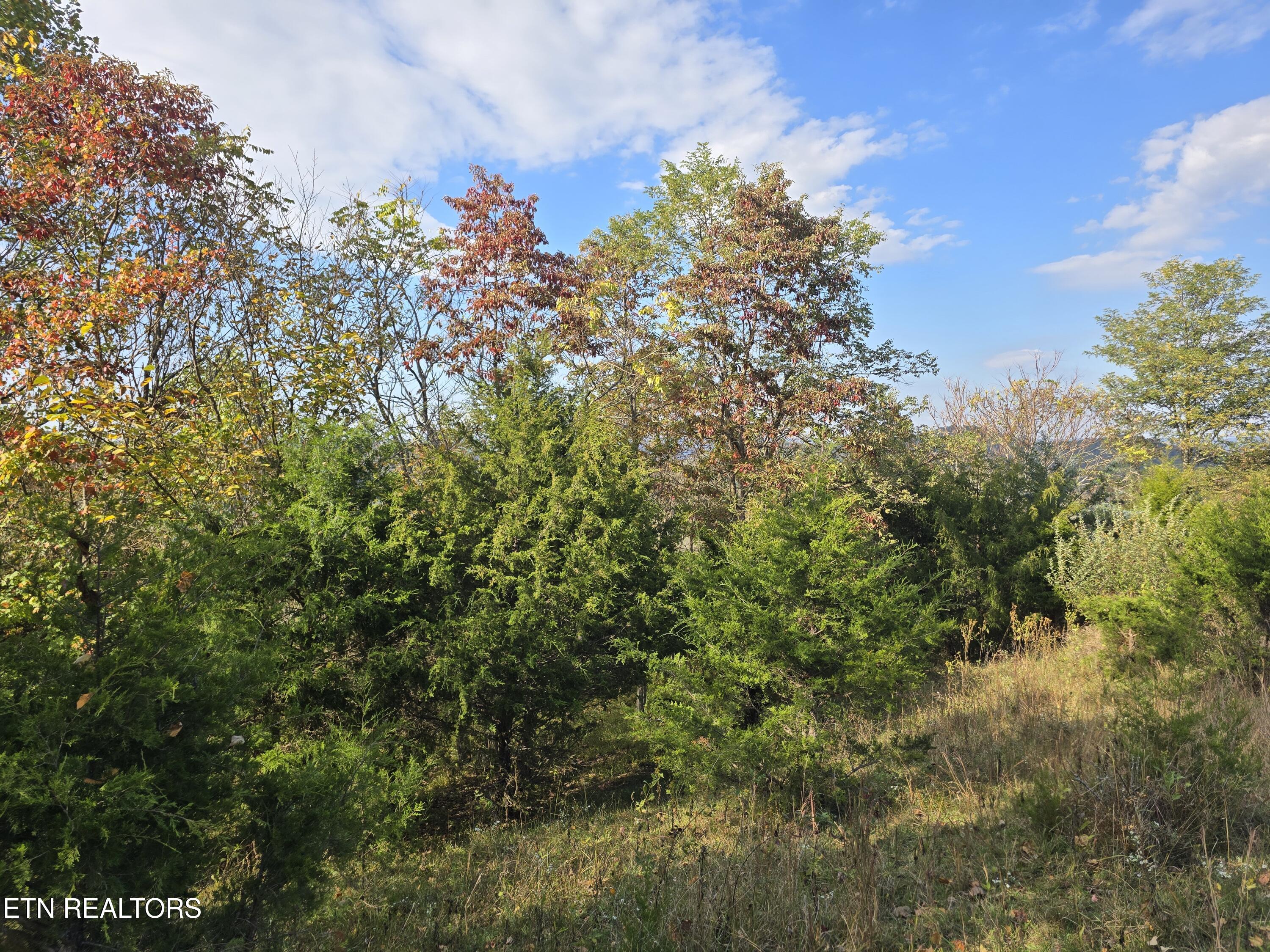 Tbd Copper Ridge Road Eidson, TN 37731 - Photo 49 of 49 20251018_152946