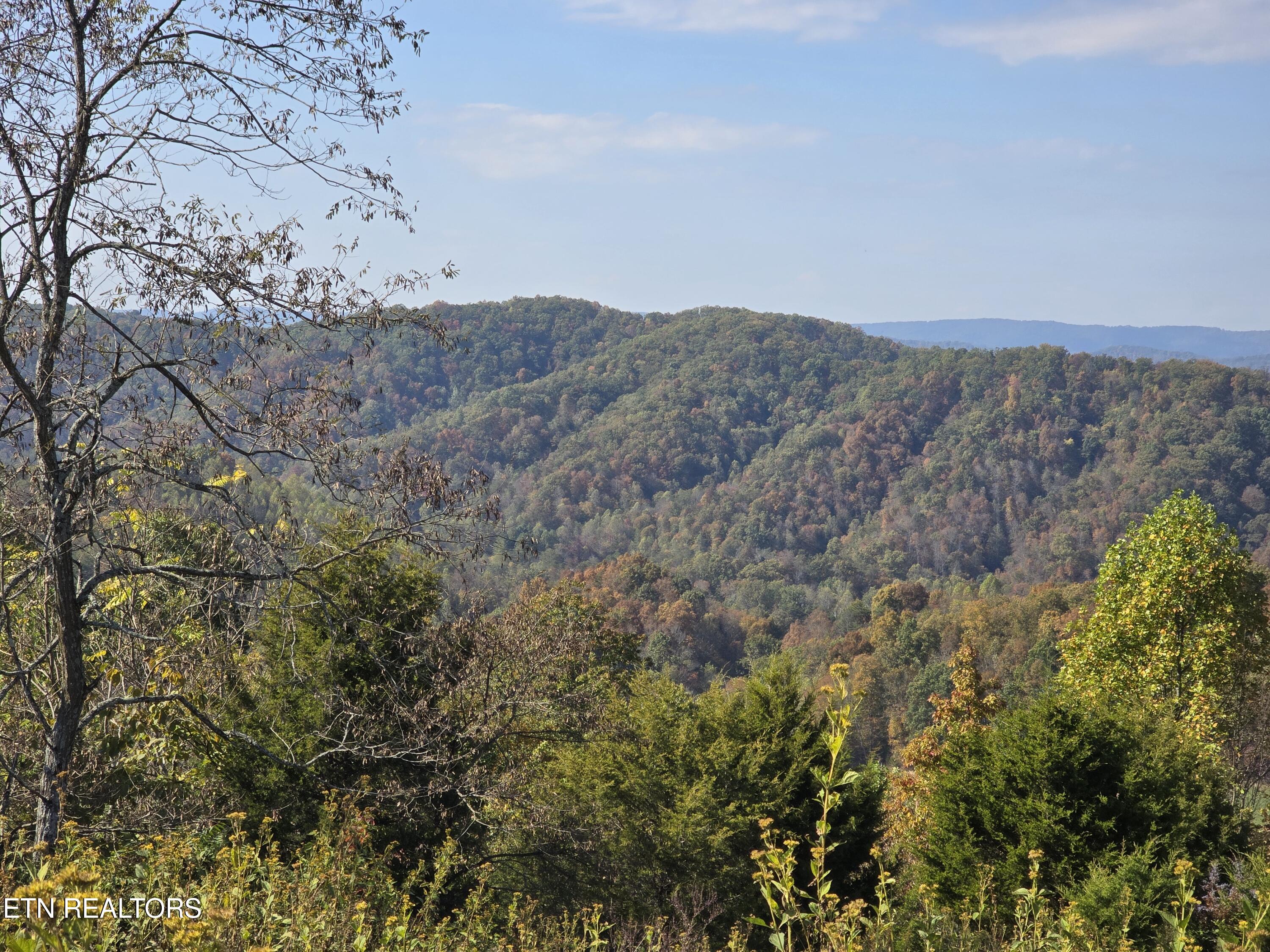 Tbd Copper Ridge Road Eidson, TN 37731 - Photo 5 of 49 20251018_144127