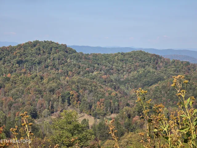 $297,900 | Tbd Copper Ridge Road, Eidson, TN 37731