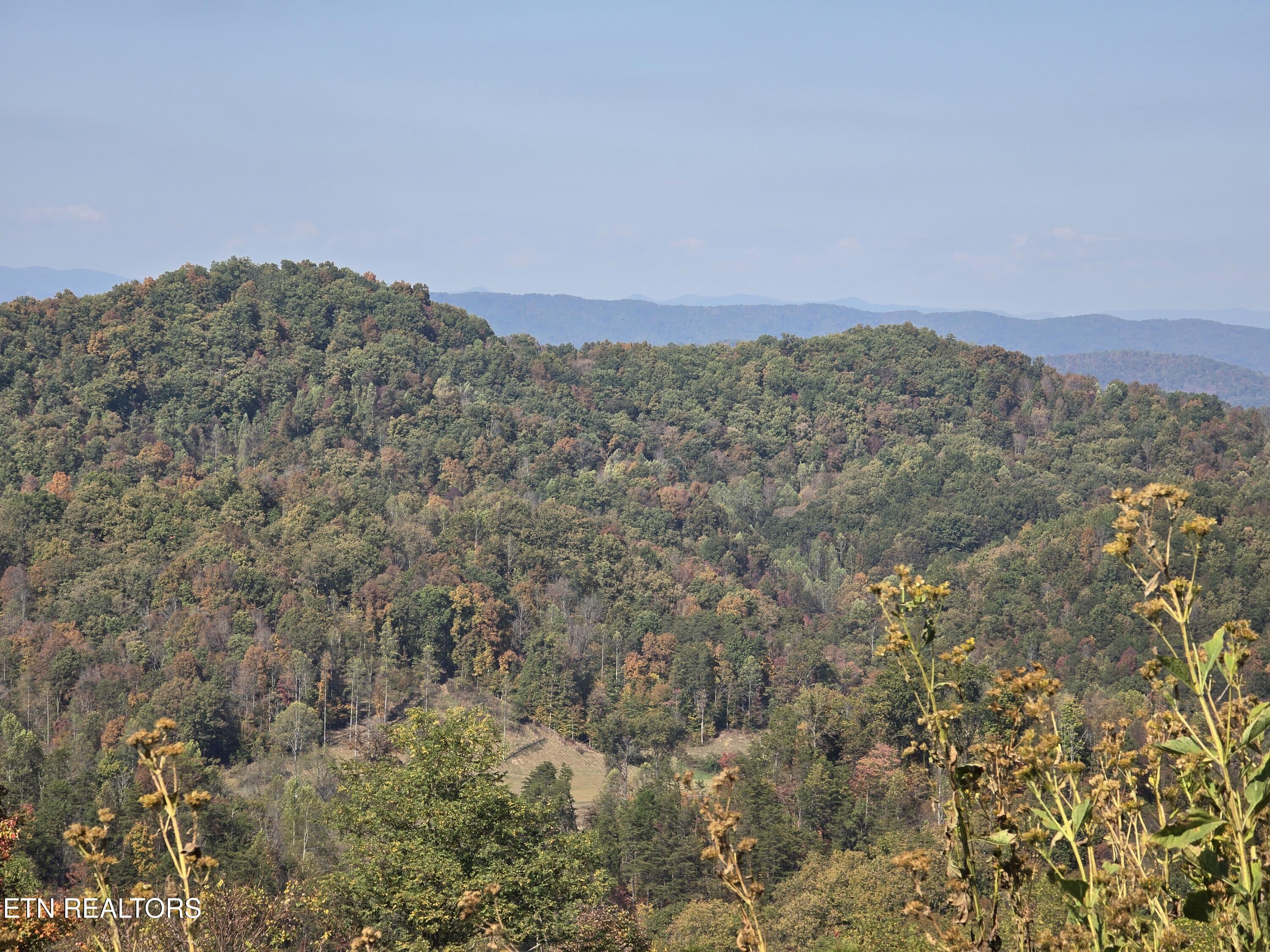 Tbd Copper Ridge Road Eidson, TN 37731 - Photo 6 of 49 20251018_144342