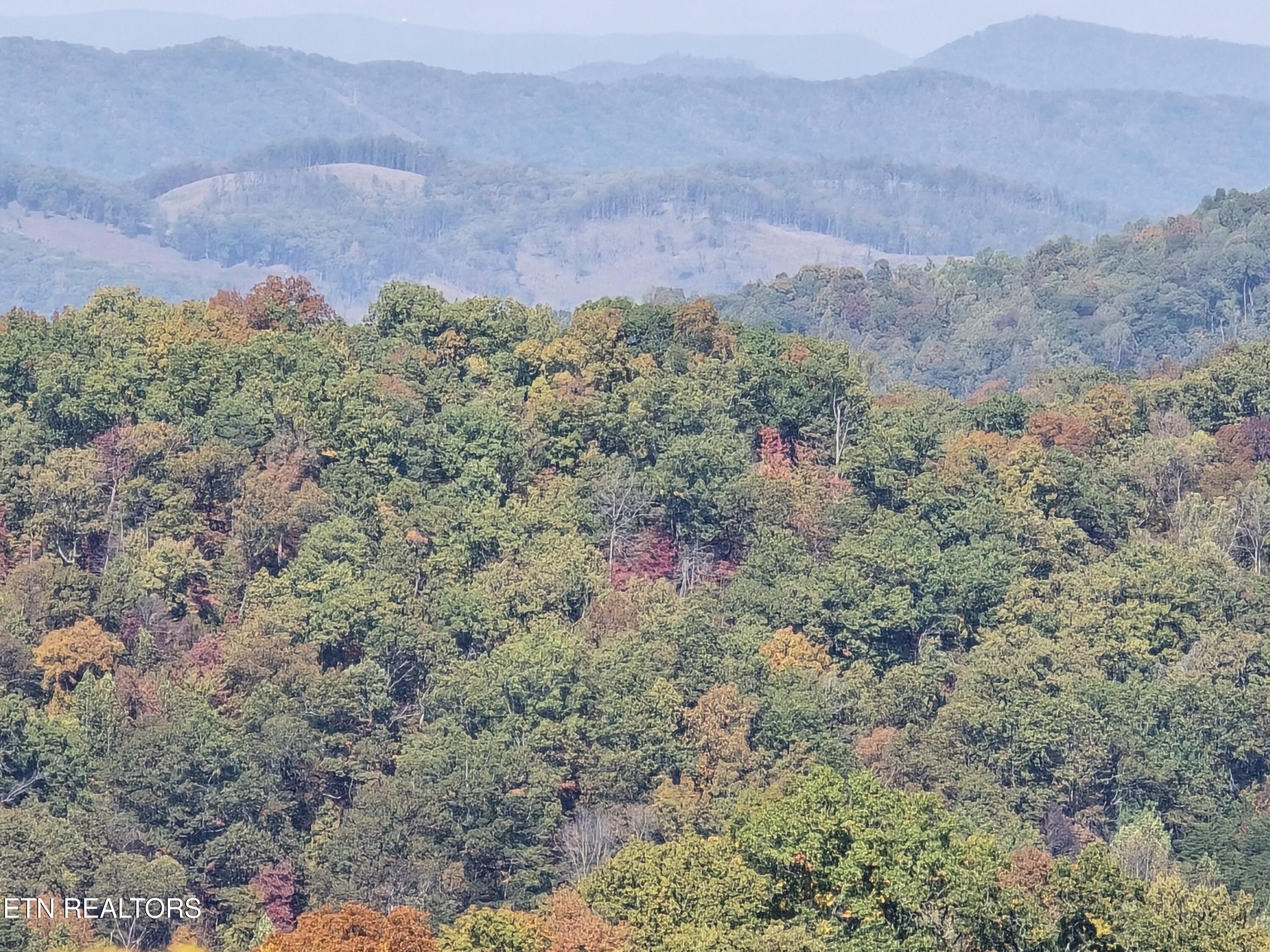 Tbd Copper Ridge Road Eidson, TN 37731 - Photo 7 of 49 20251018_144442