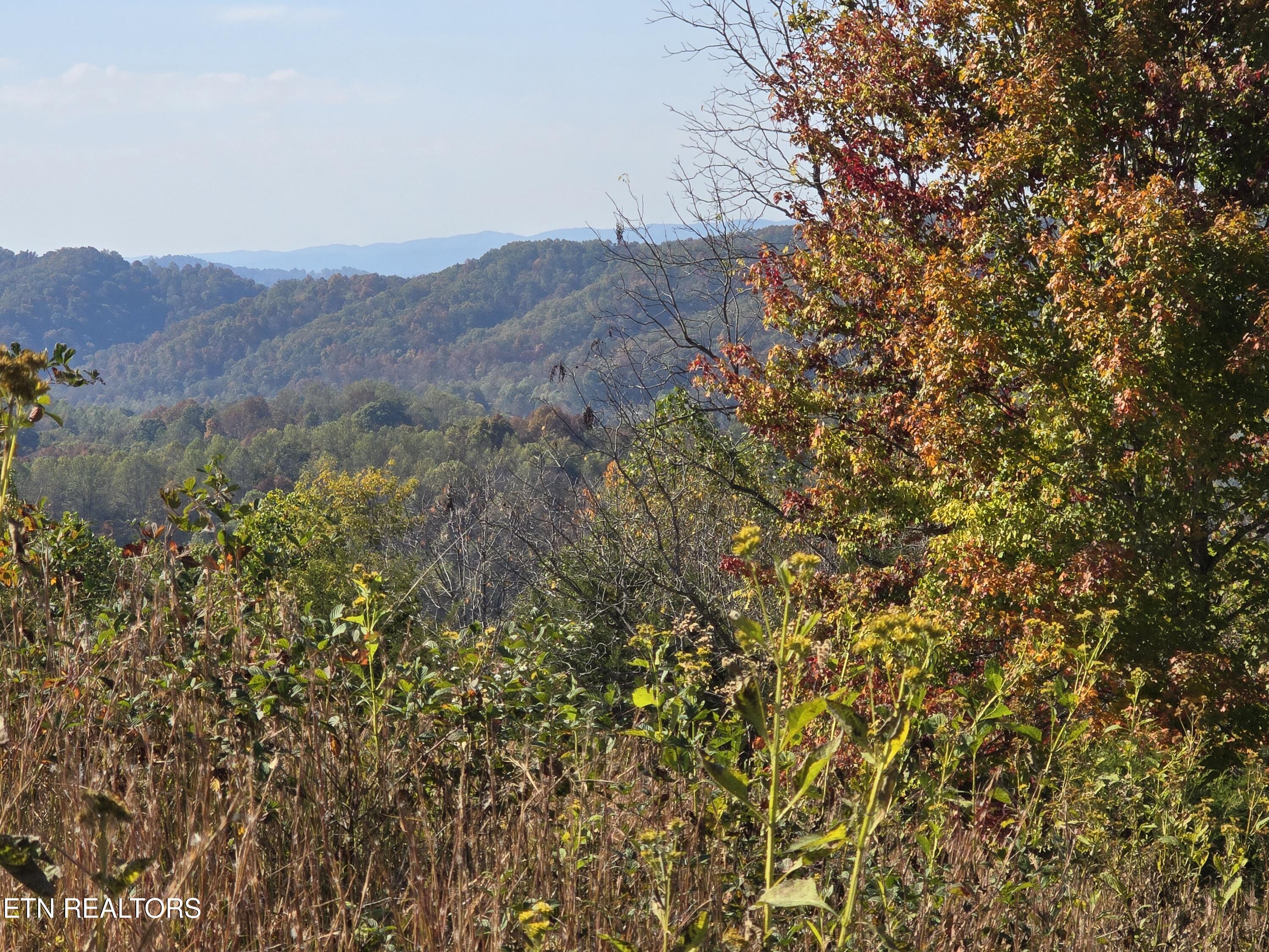Tbd Copper Ridge Road Eidson, TN 37731 - Photo 9 of 49 20251018_145702