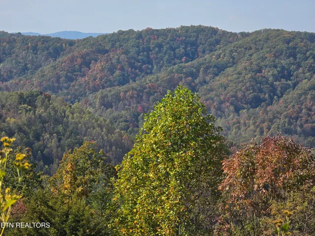 $297,900 | Tbd Copper Ridge Road, Eidson, TN 37731