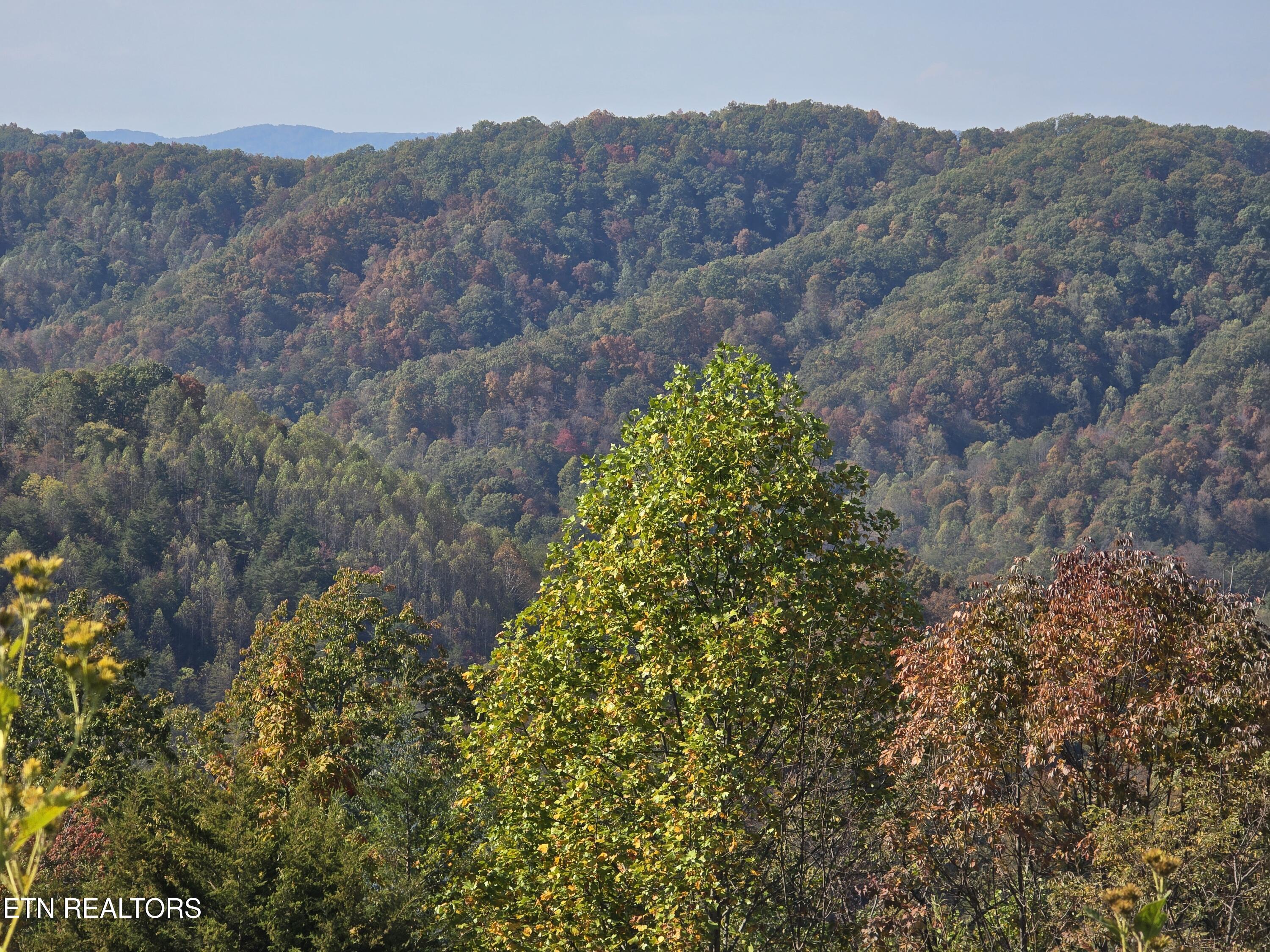 Tbd Copper Ridge Road Eidson, TN 37731 - Photo 10 of 49 20251018_144245