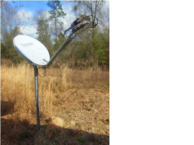 194 Peaden Bridge Road Baker, FL 32531 - Photo 11 of 11 Gallery Image 11