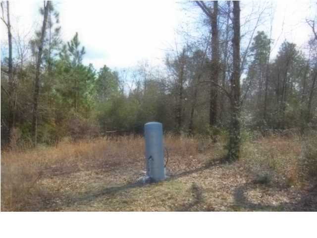 194 Peaden Bridge Road Baker, FL 32531 - Photo 10 of 11 Gallery Image 10