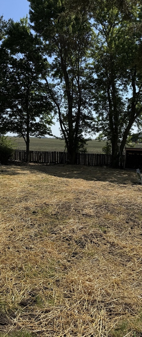 24034 North 2900 E Road Emington, IL 60934 - Photo 29 of 34