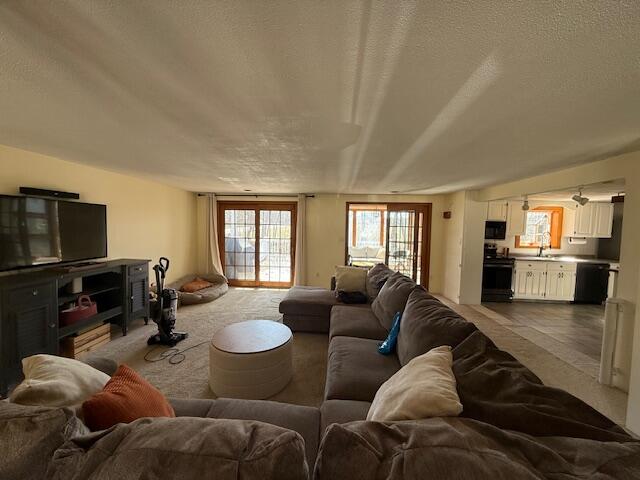 317 Cranberry Meadow Road Berwick, ME 03901 - Photo 12 of 53 living 1