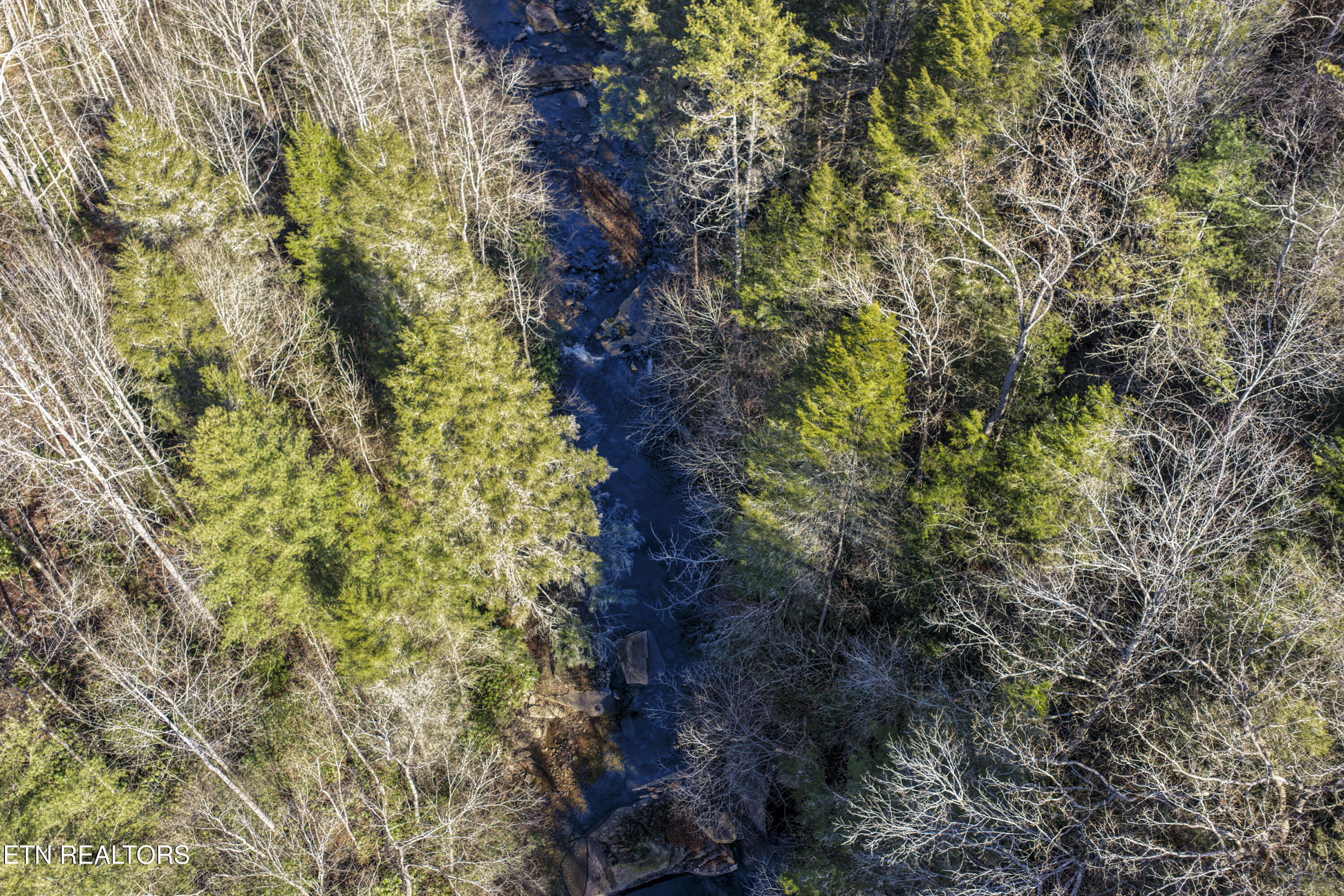 1305 Grievers Chapel Road Rockwood, TN 37854 - Photo 20 of 32 print_quality-DJI_20251211113944_0004_D