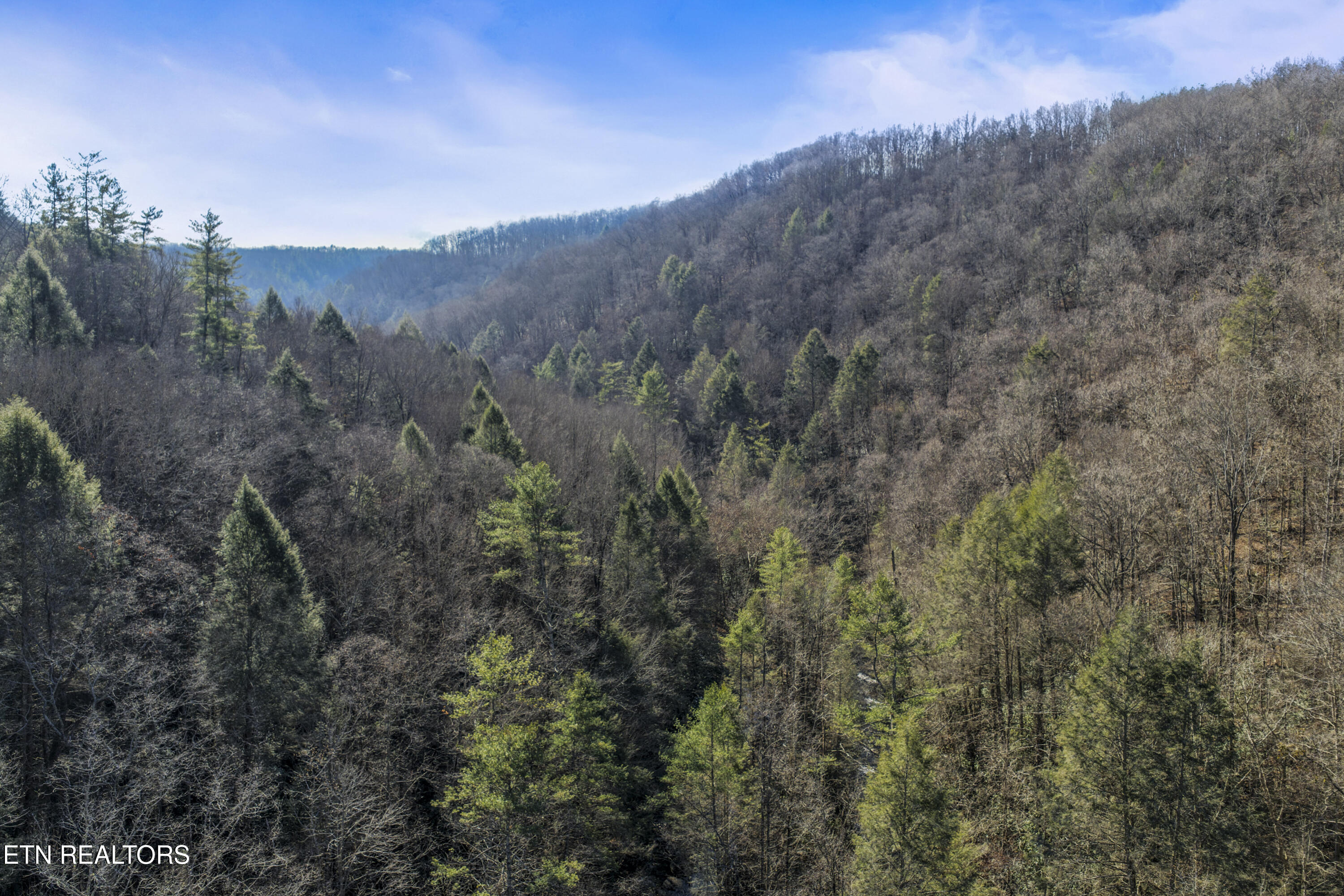 1305 Grievers Chapel Road Rockwood, TN 37854 - Photo 5 of 32 print_quality-DJI_20251211114143_0008_D