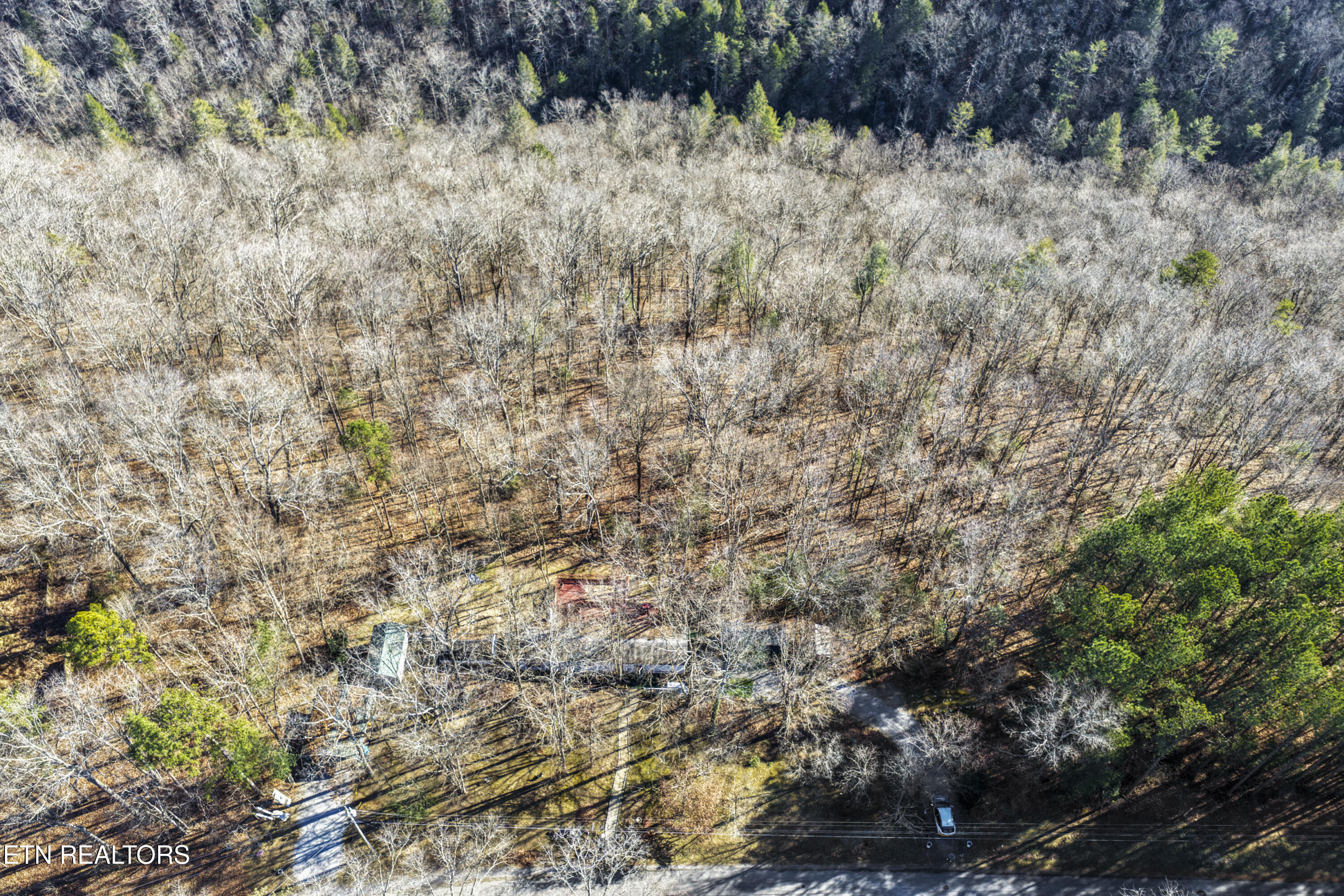 1305 Grievers Chapel Road Rockwood, TN 37854 - Photo 6 of 32 print_quality-DJI_20251211113656_0001_D