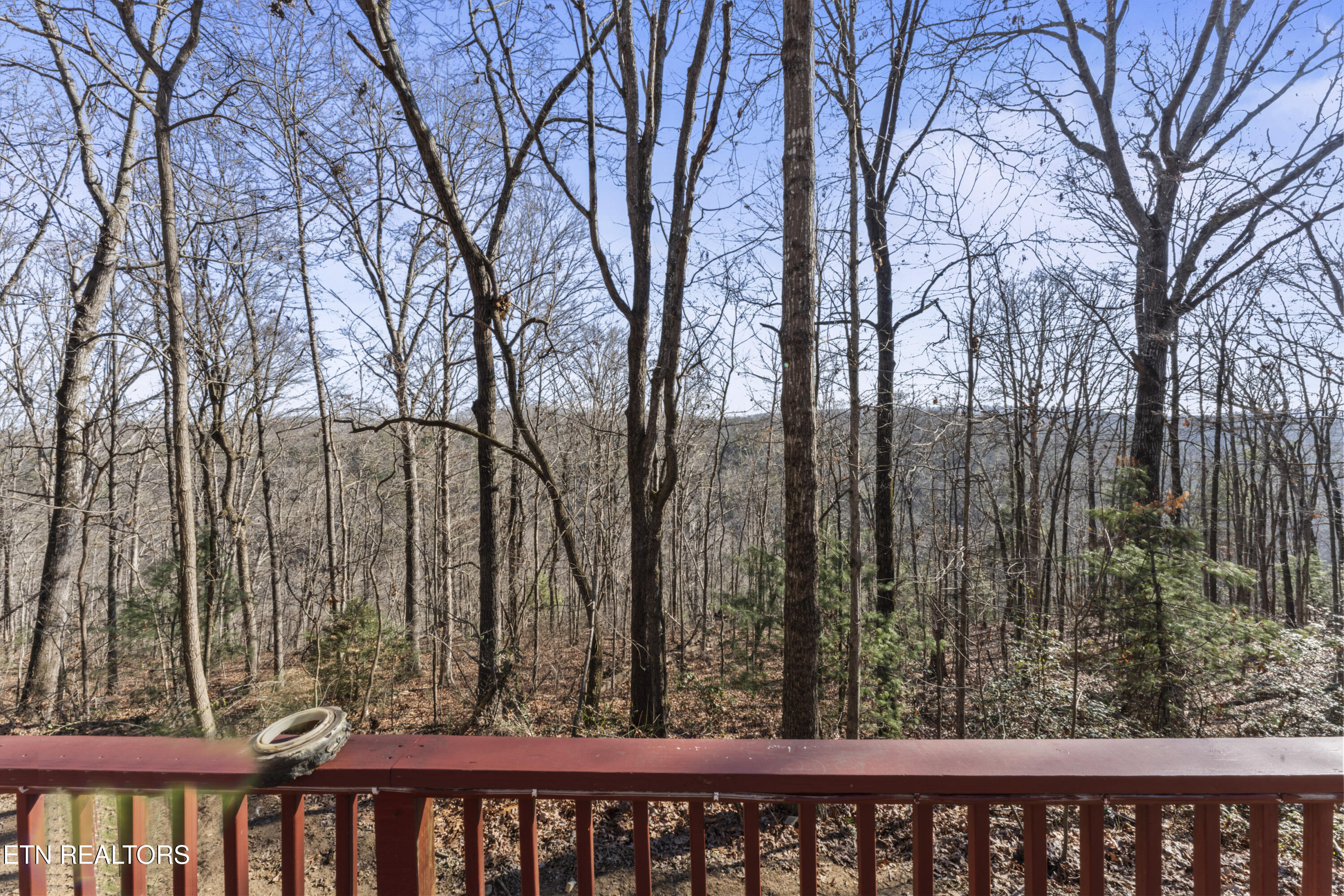 1305 Grievers Chapel Road Rockwood, TN 37854 - Photo 9 of 32 print_quality-DSC09867