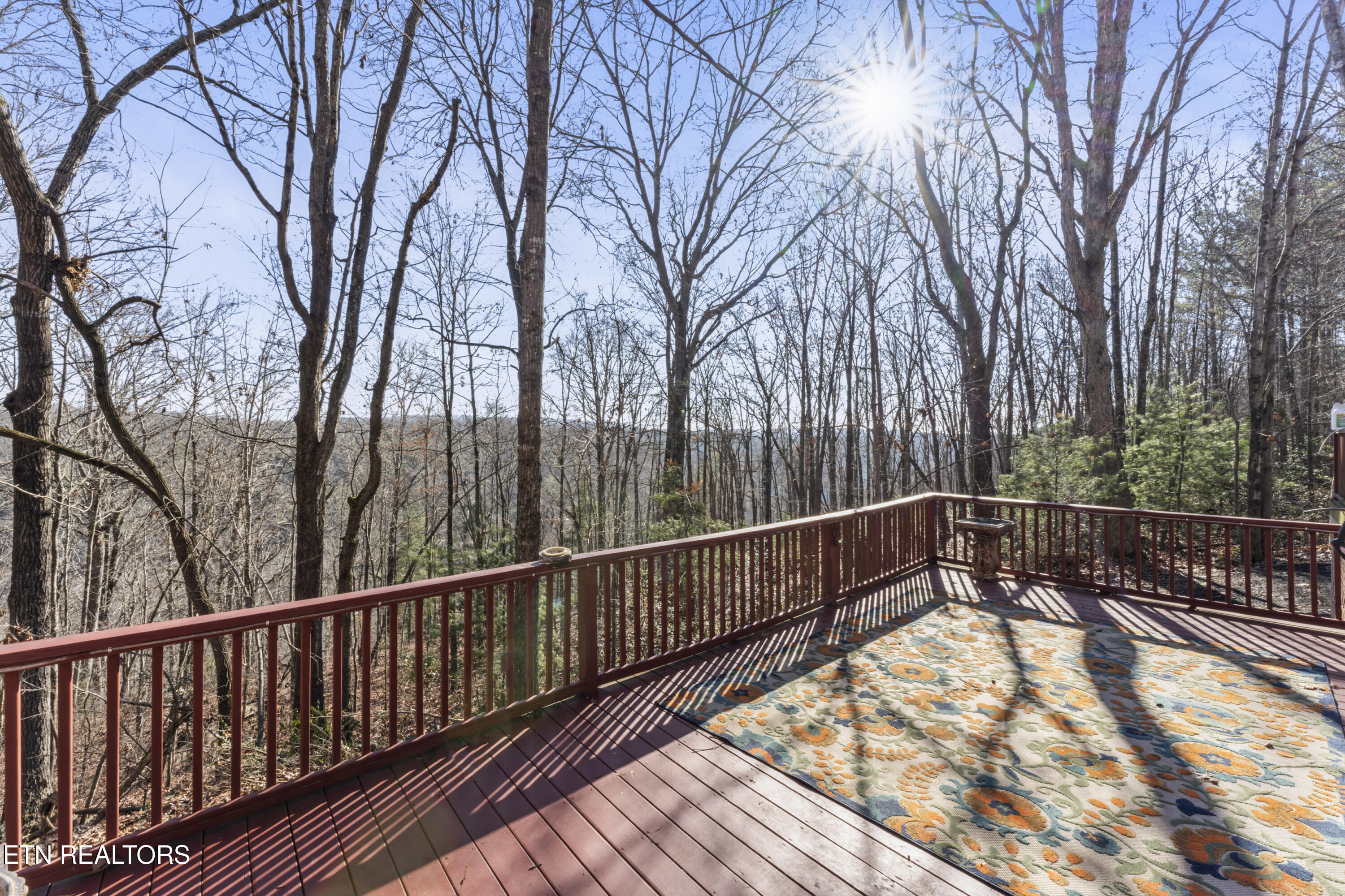 1305 Grievers Chapel Road Rockwood, TN 37854 - Photo 10 of 32 print_quality-DSC09862