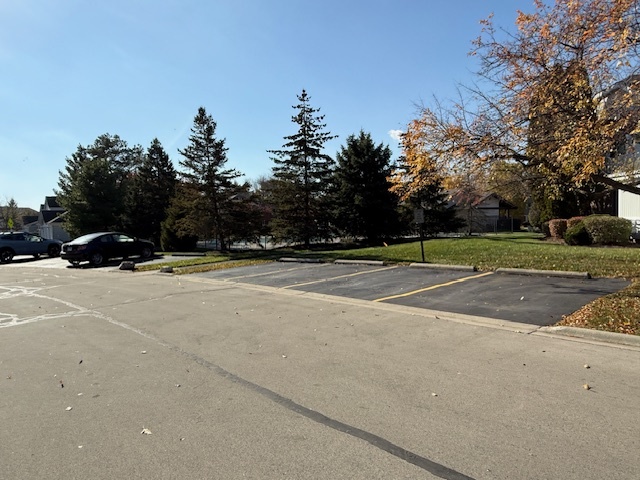 310 Oak Meadow Court, Unit D2 Schaumburg, IL 60193 - Photo 18 of 19