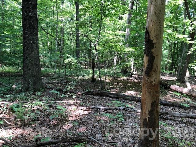 511 Flynn Road Rutherfordton, NC 28139 - Photo 28 of 32 a view of a forest with trees