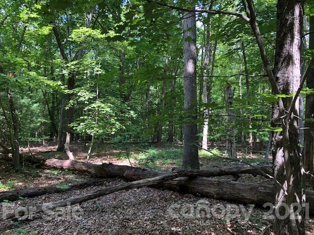 511 Flynn Road Rutherfordton, NC 28139 - Photo 29 of 32 a view of a yard with plants and trees
