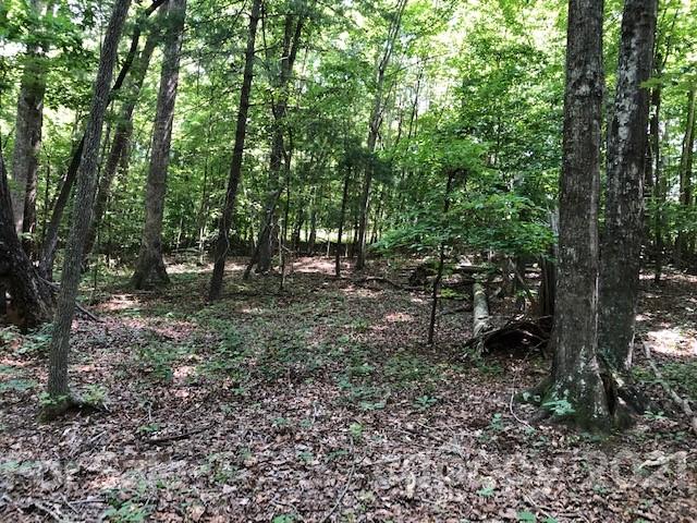 511 Flynn Road Rutherfordton, NC 28139 - Photo 30 of 32 a view of some trees in the forest