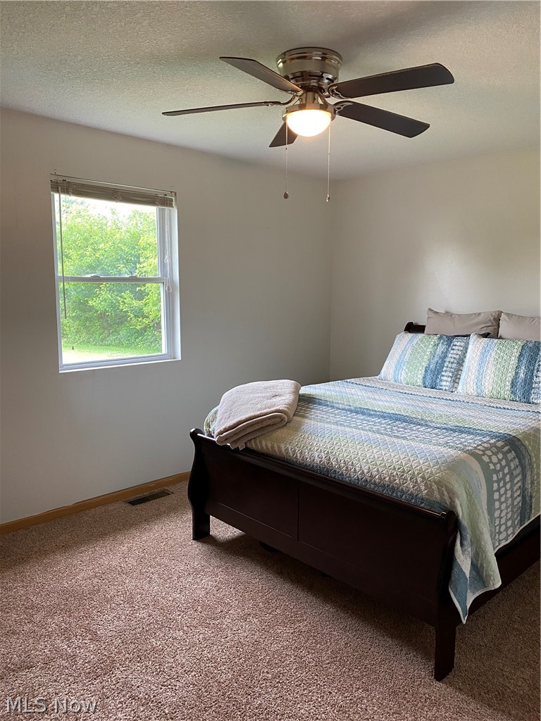 12820 Bottom Road Dresden, OH 43821 - Photo 18 of 32 Gallery Image 18