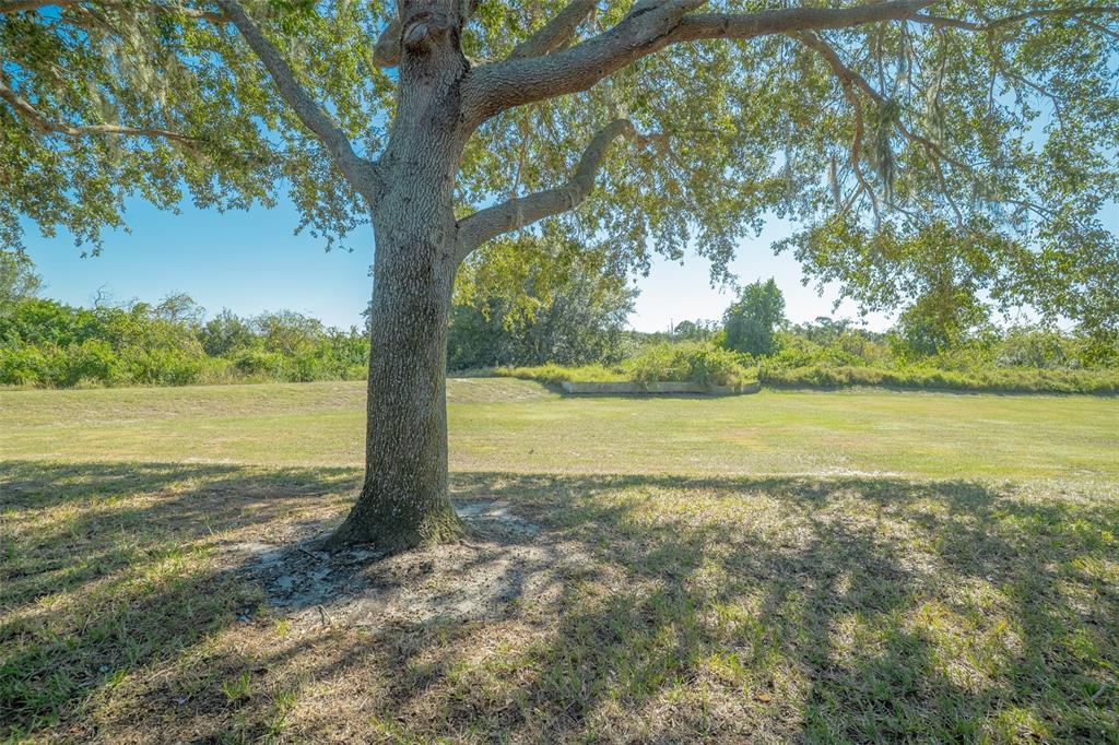 2739 Rutledge Court Winter Haven, FL 33884 - Photo 16 of 24 a view of a lake with a big yard and large trees