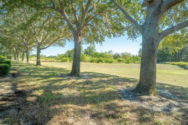 a view of a garden with an outdoor space