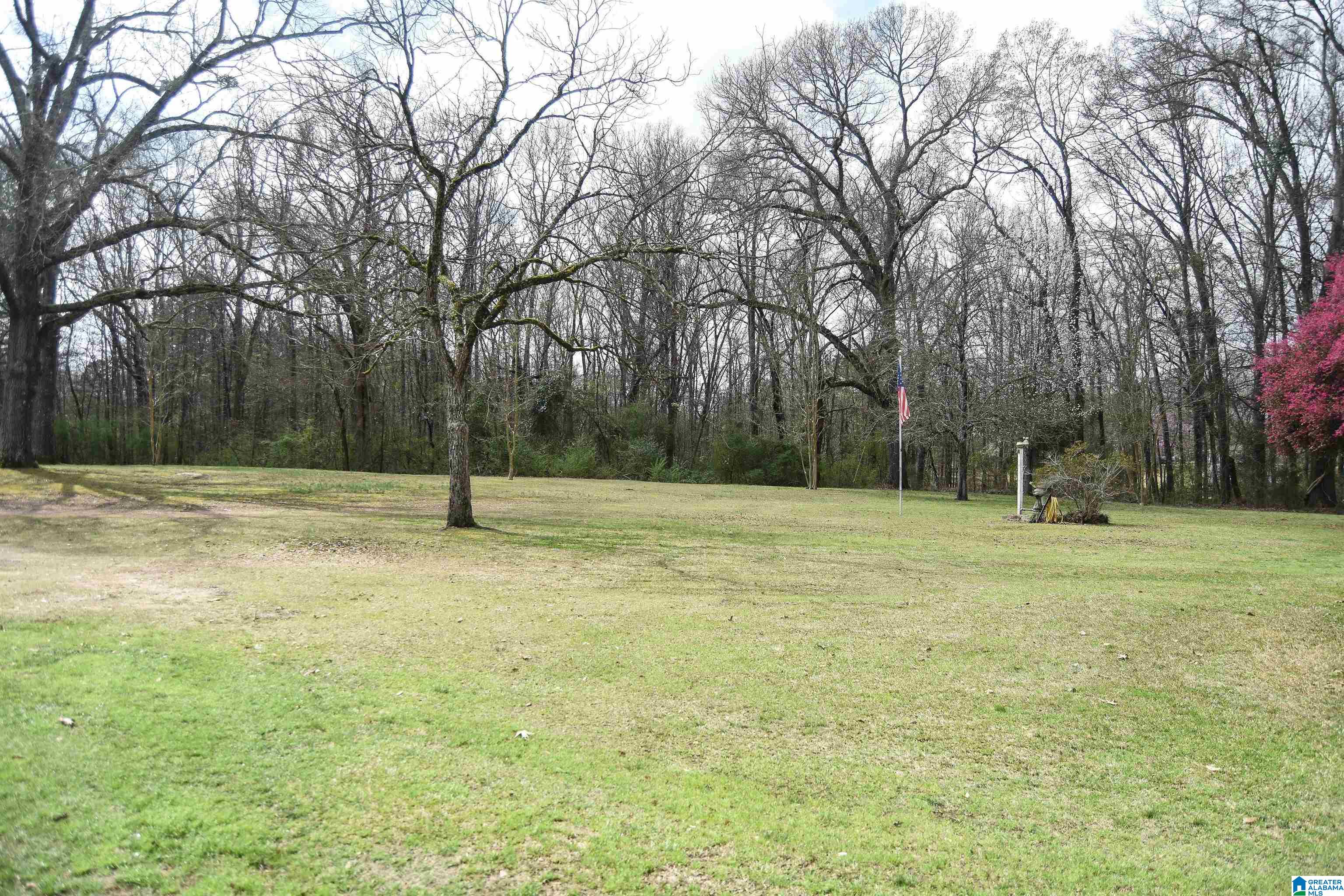 841 Grant Town Road Talladega, AL 35160 - Photo 4 of 43