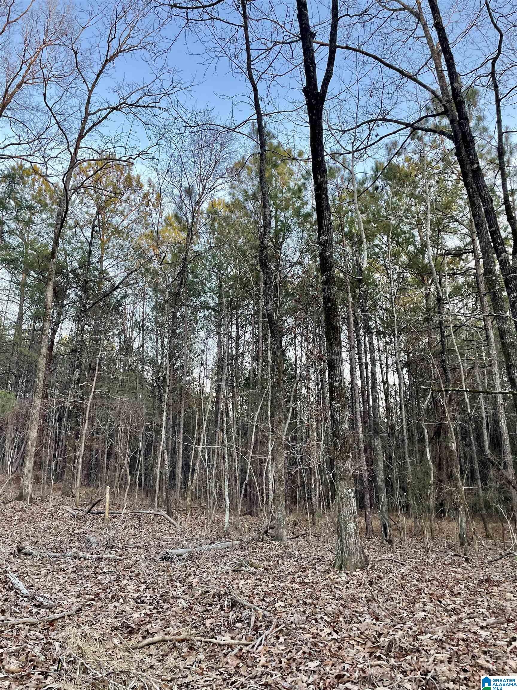 0 Ronbar Road Columbiana, AL 35051 - Photo 1 of 6