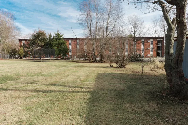 a view of yard with trees