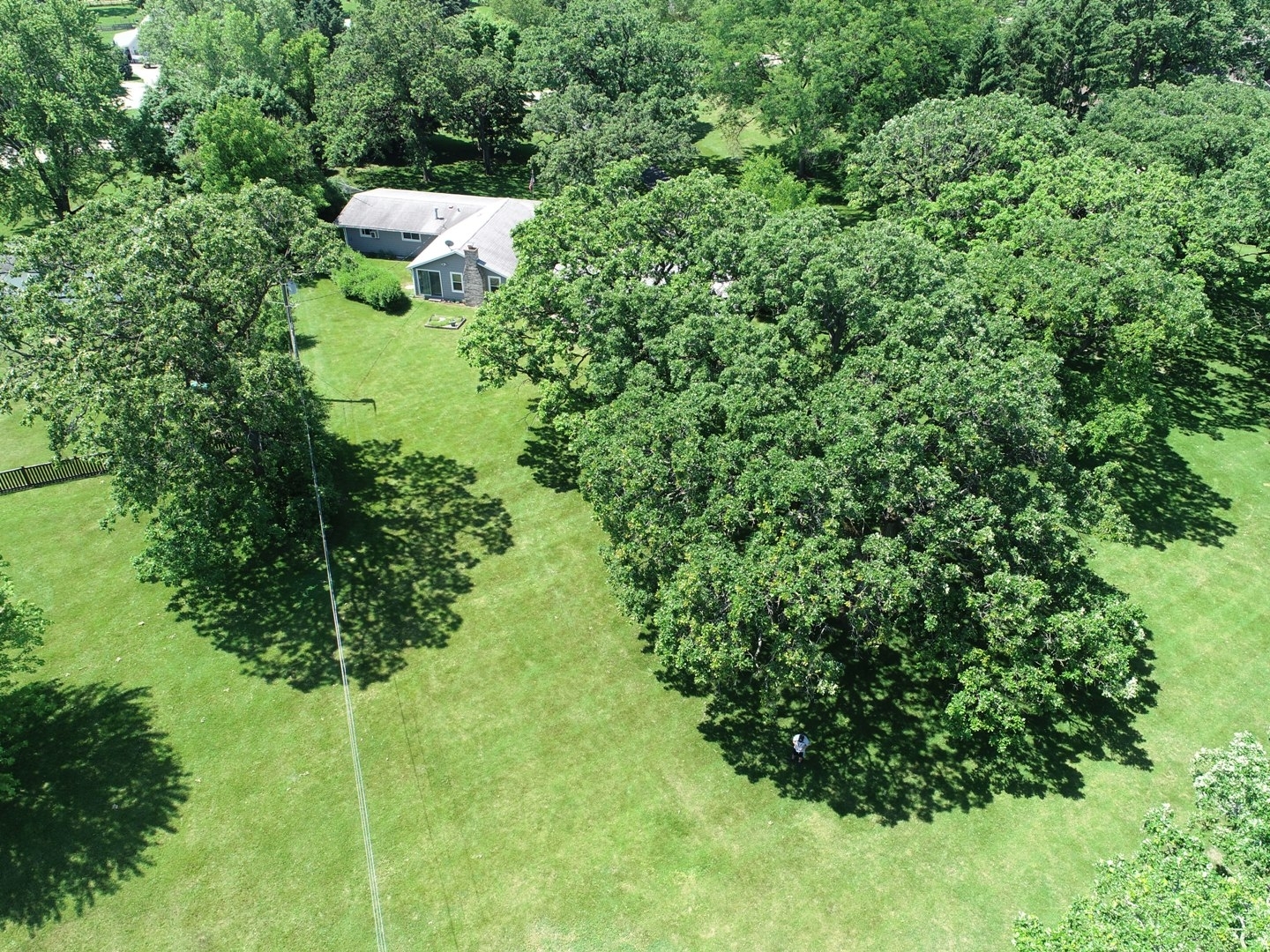 1210 Berwyn Street Spring Grove, IL 60081 - Photo 4 of 26