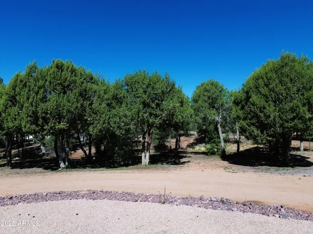 $1,250,000 | 889 East Dealers Choice Lane, Payson, AZ 85541