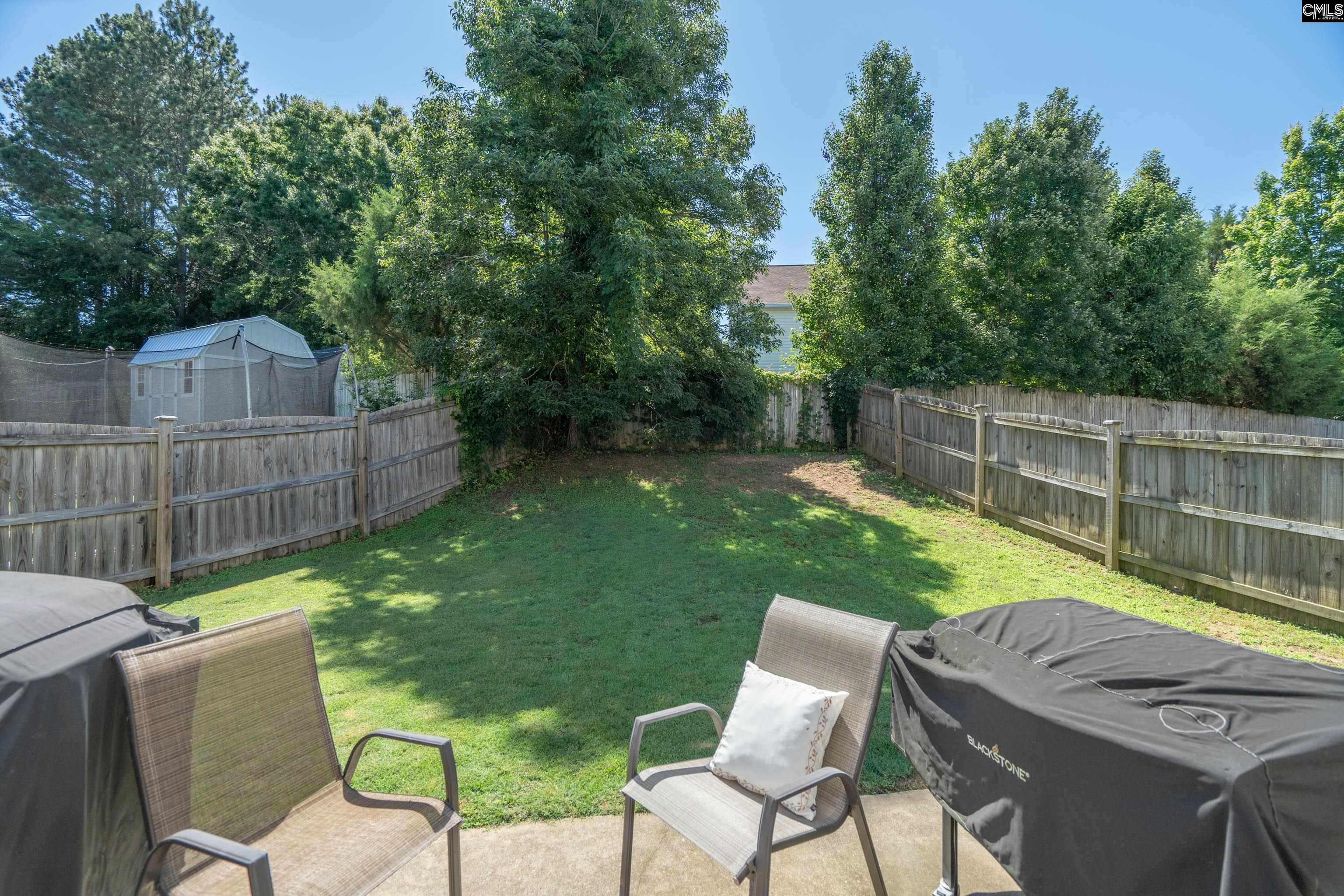 133 Palm Street Chapin, SC 29036 - Photo 33 of 37