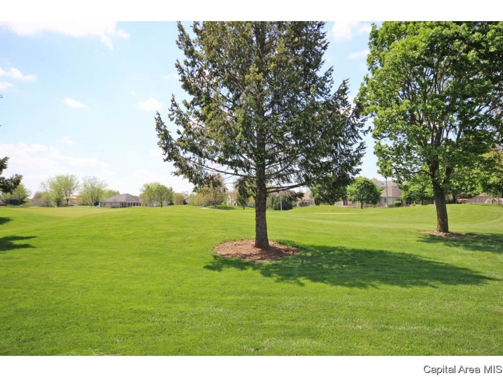 4505 Turtle Bay Springfield, IL 62711 - Photo 34 of 35