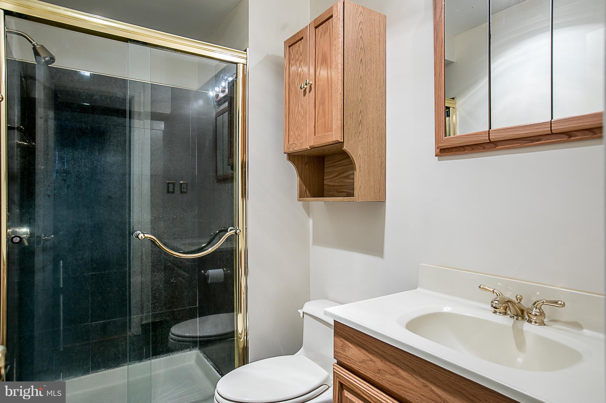 6210 Roblynn Road Laurel, MD 20707 - Photo 13 of 29 Master Bath
