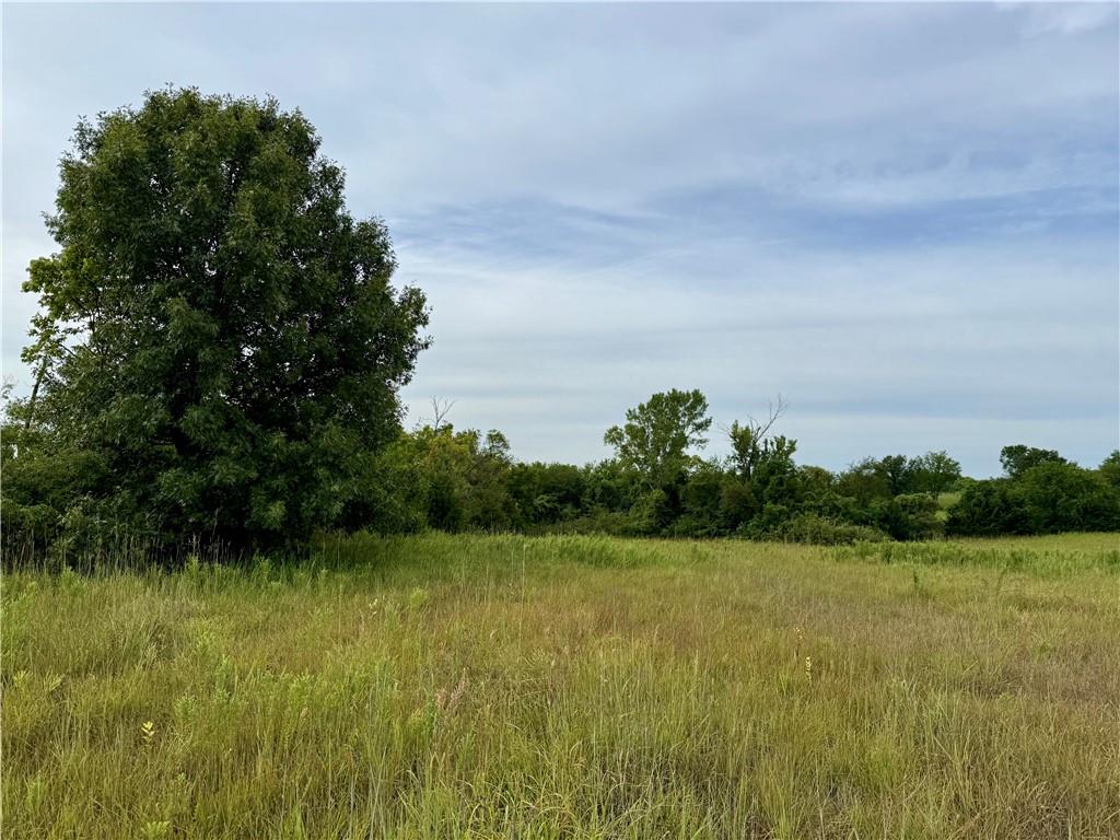 Lot 10 Cantrell Road Tonganoxie, KS 66086 - Photo 10 of 10