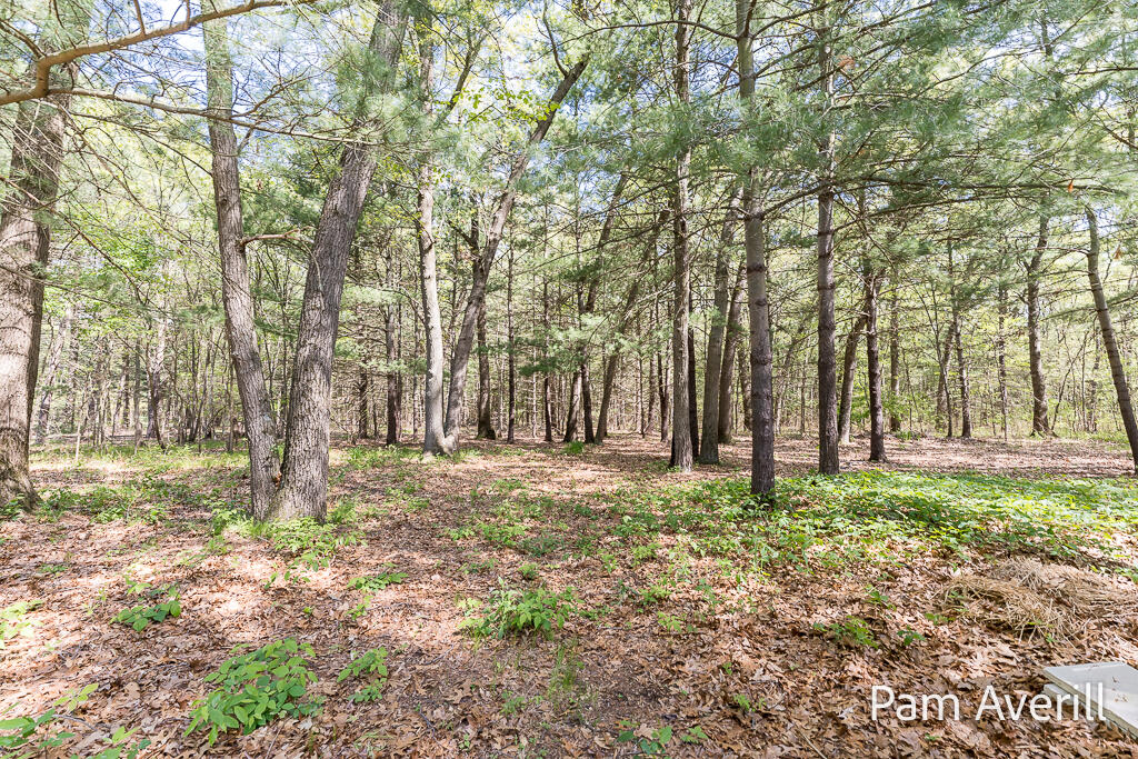 3754 MacArthur Road Muskegon, MI 49442 - Photo 14 of 73 3754MacArthurSt-14LoRes